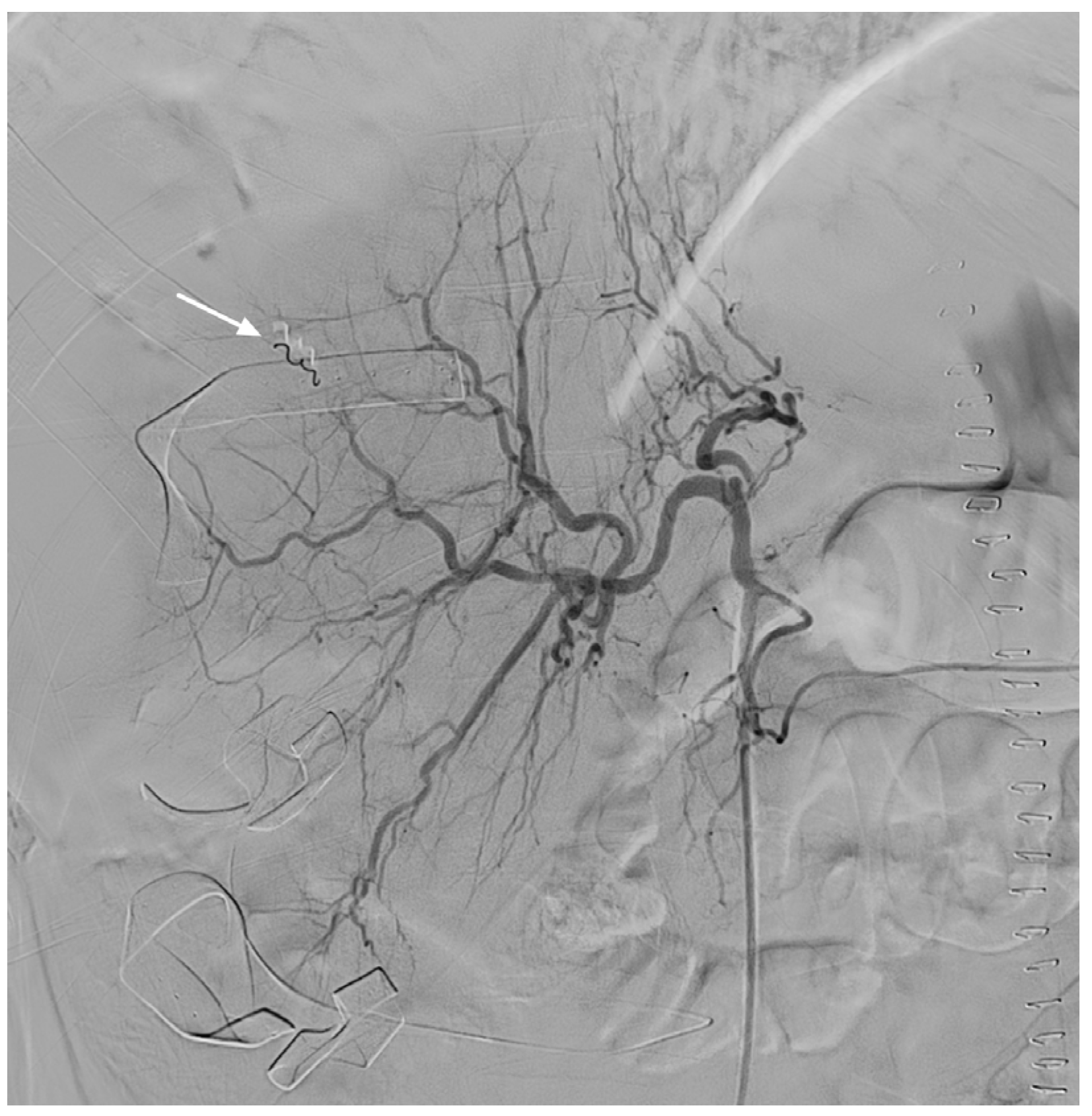 Medicina 57 01055 g002 550