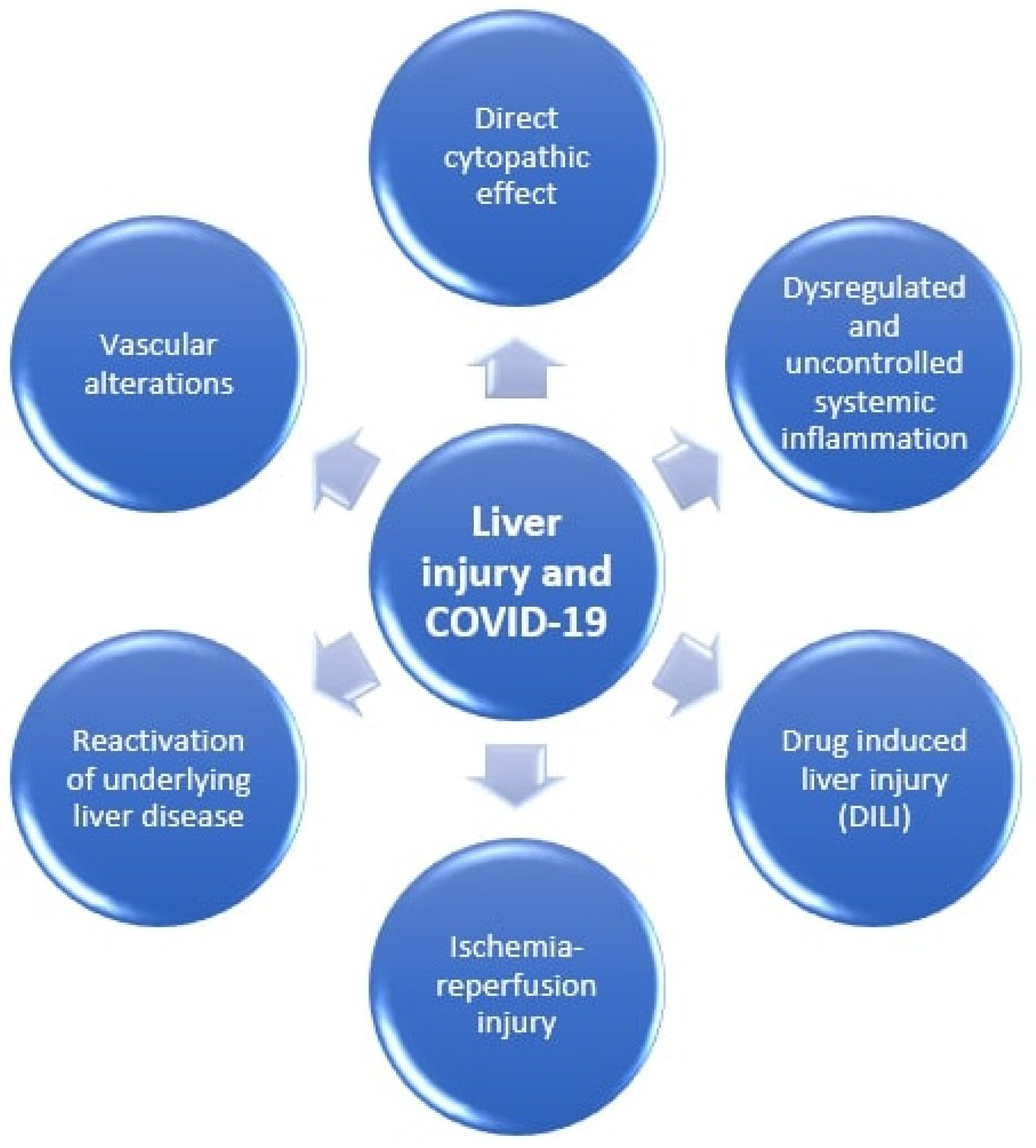 Medicina 57 01057 g001 550