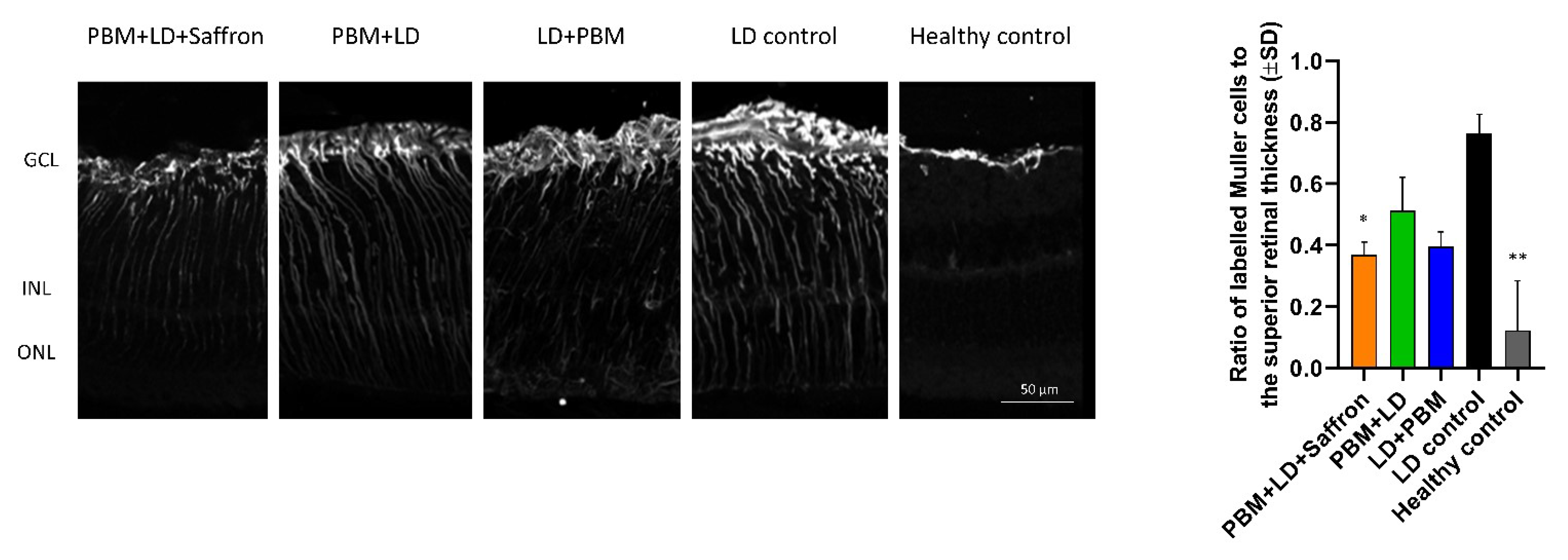 Medicina 57 01059 g002 550