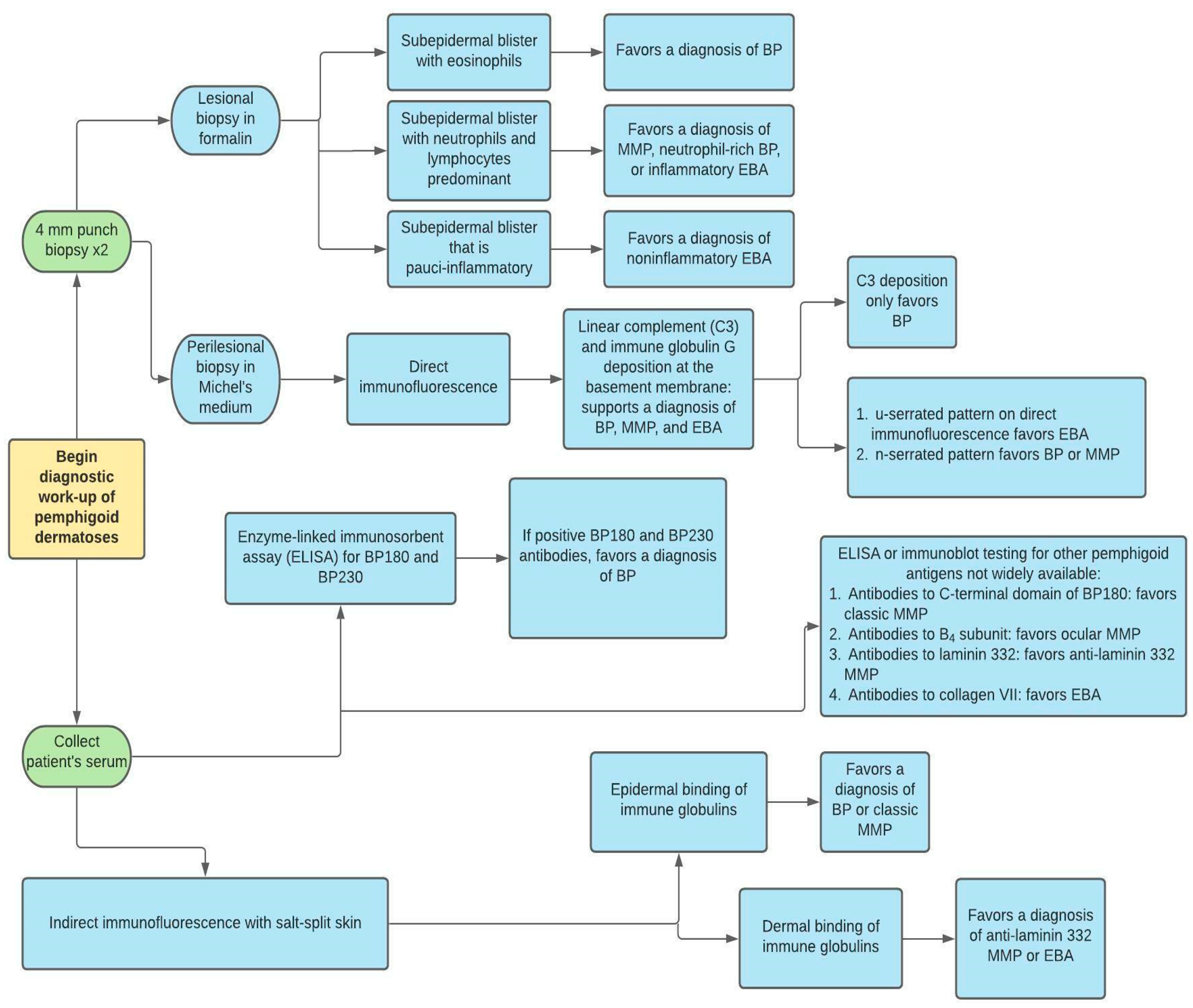 Medicina 57 01061 g002 550