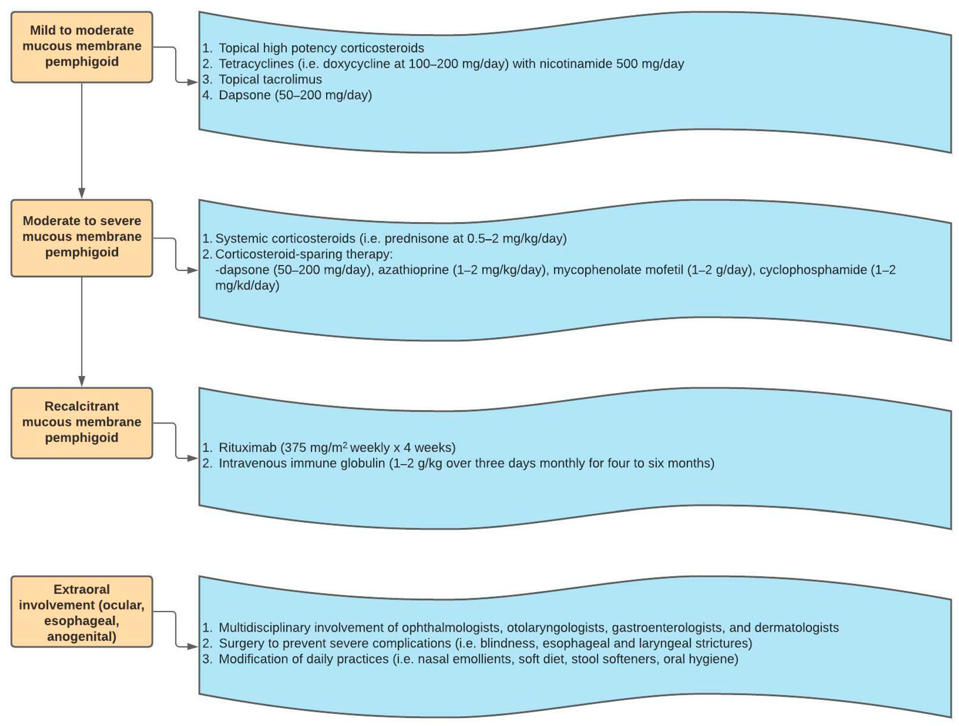 Medicina 57 01061 g006 550