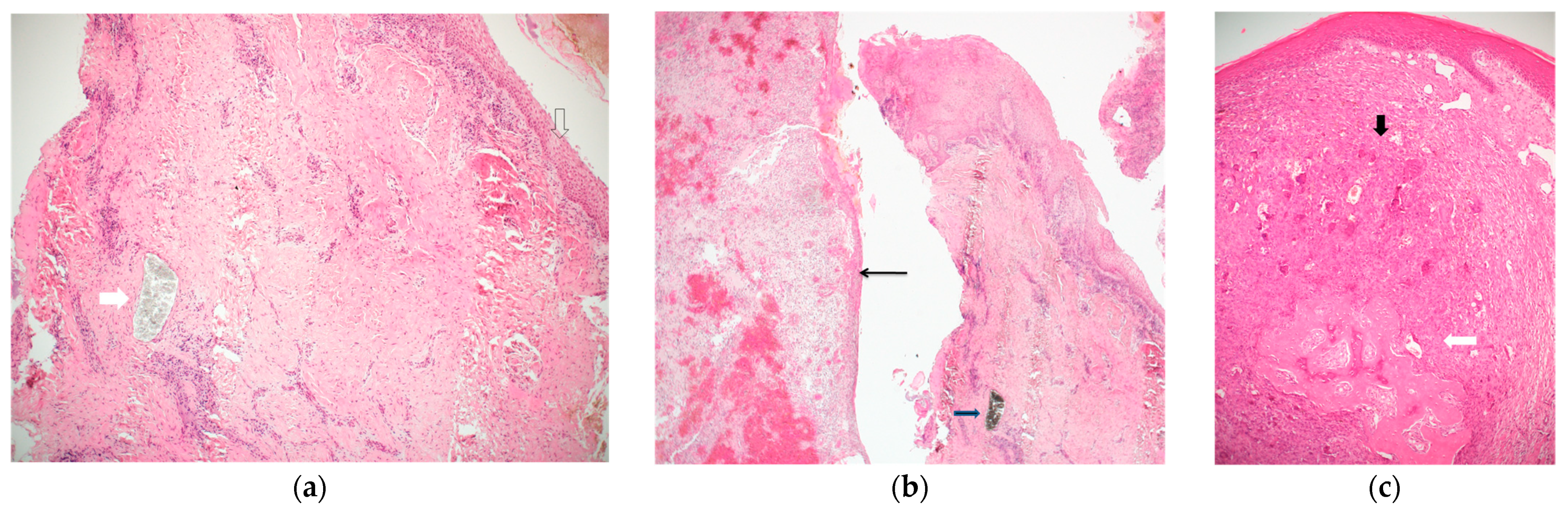 Medicina 57 01069 g002 550