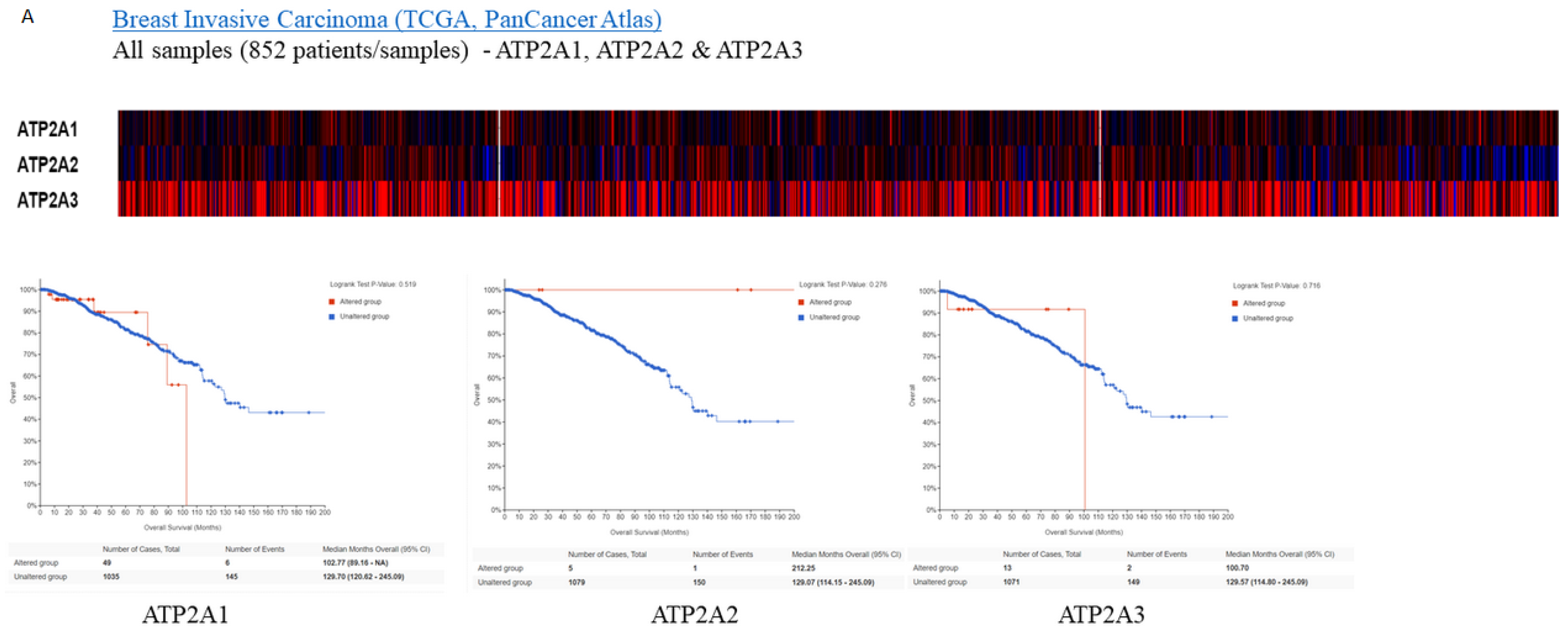 Medicina 57 01074 g002a