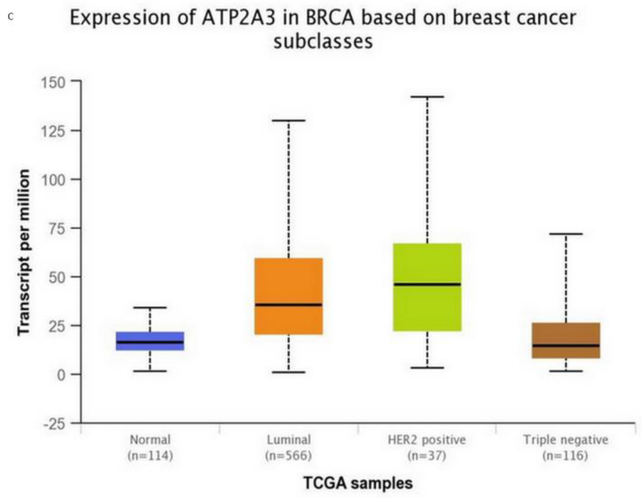 Medicina 57 01074 g003b