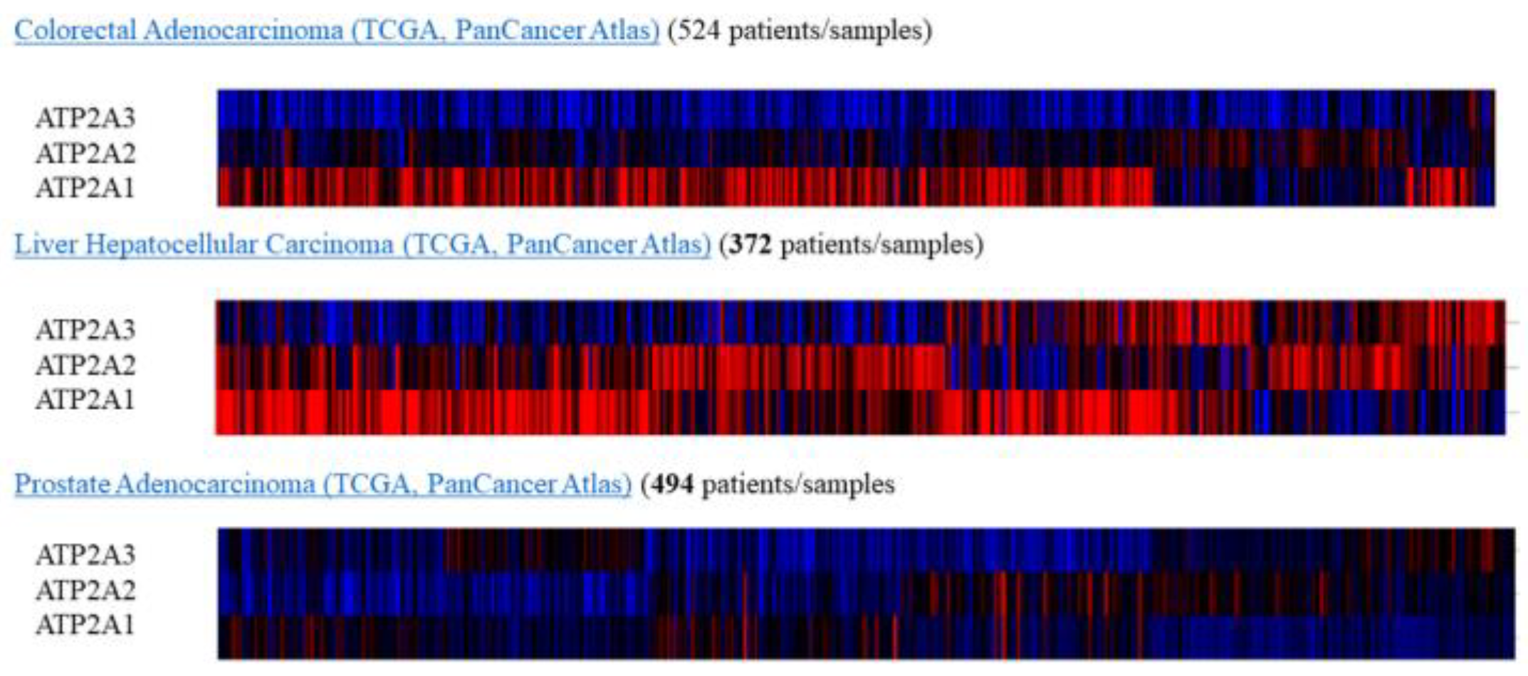 Medicina 57 01074 g004