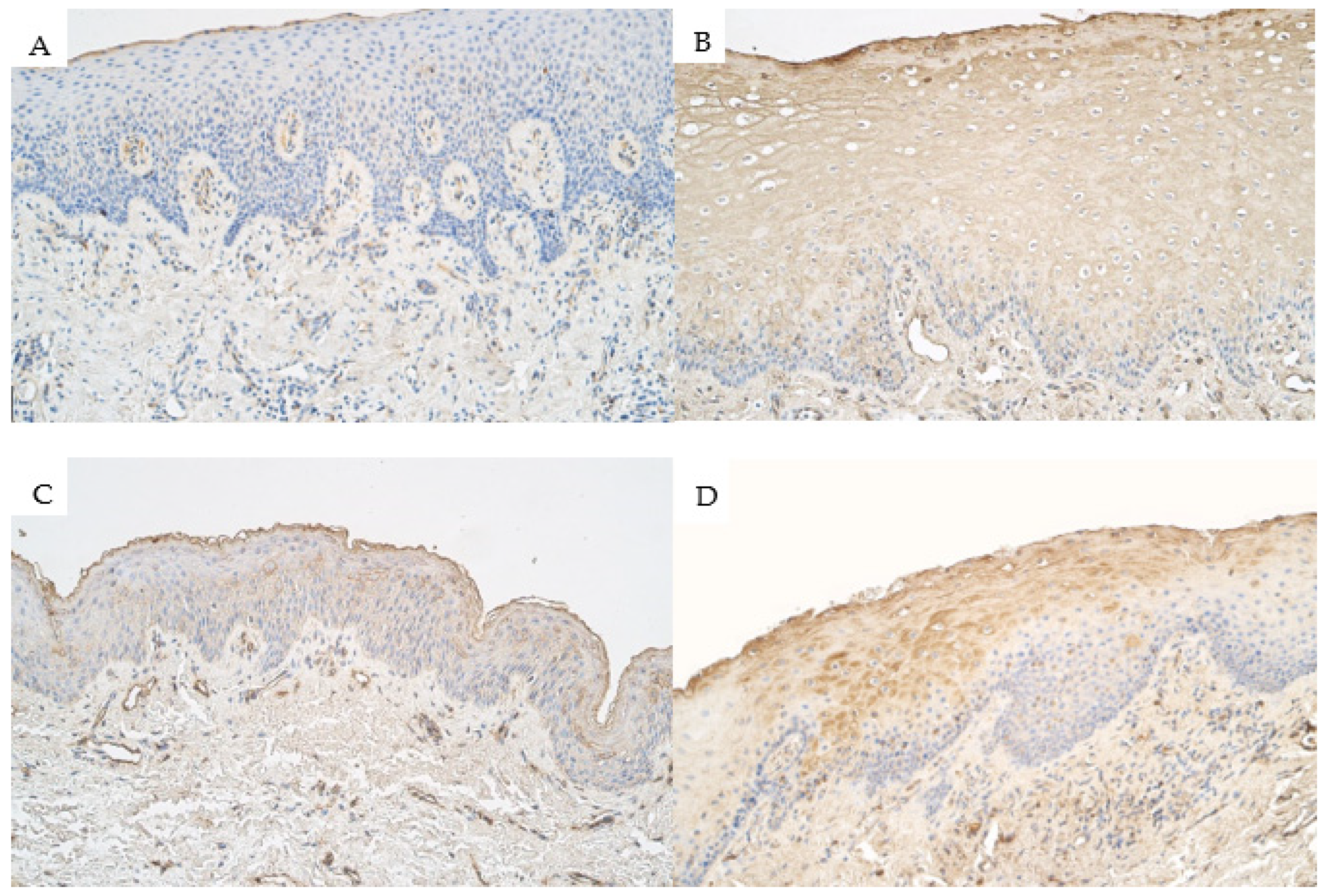 Medicina 57 01075 g004 550