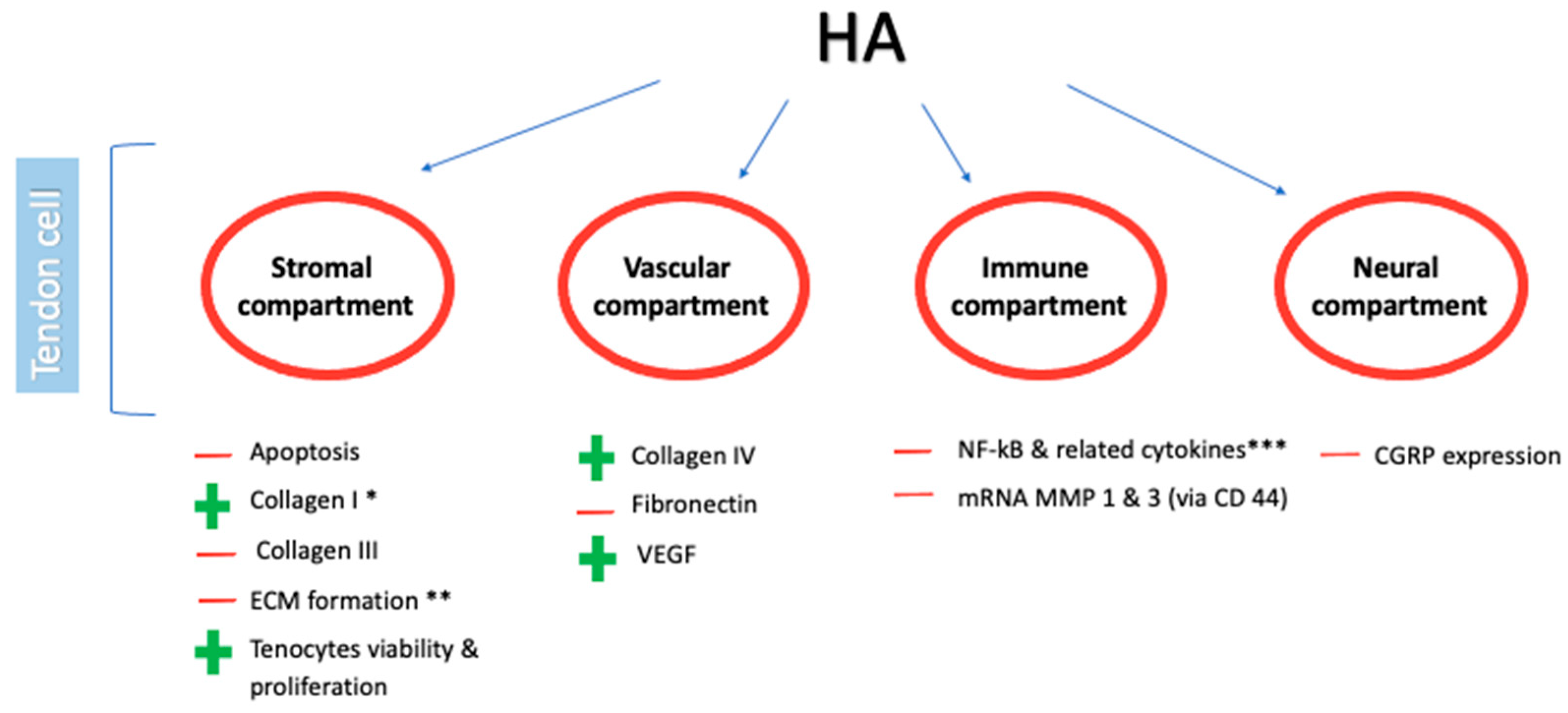 Medicina 57 01088 g001