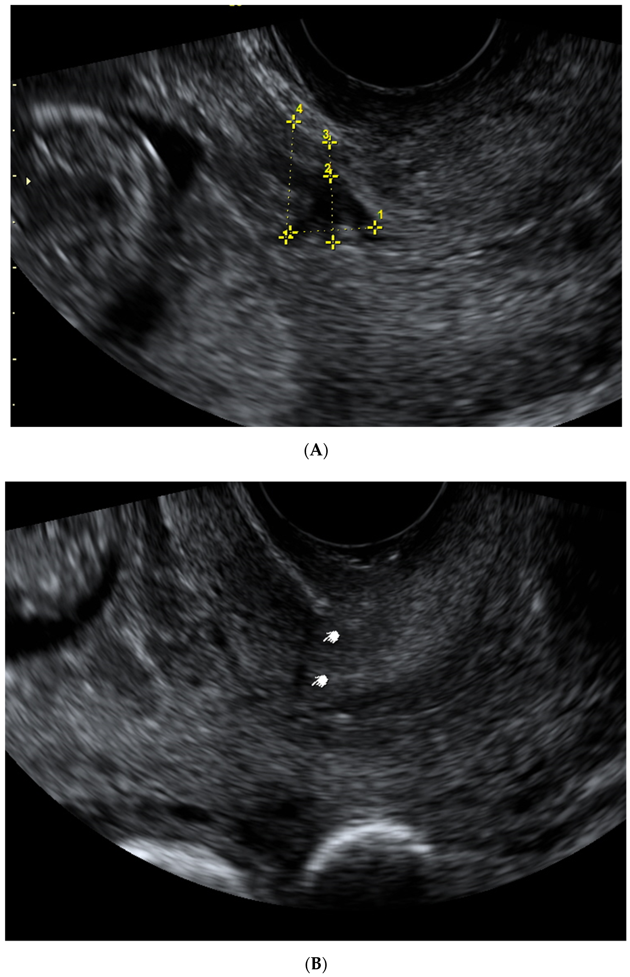 Medicina 57 01091 g002a 550