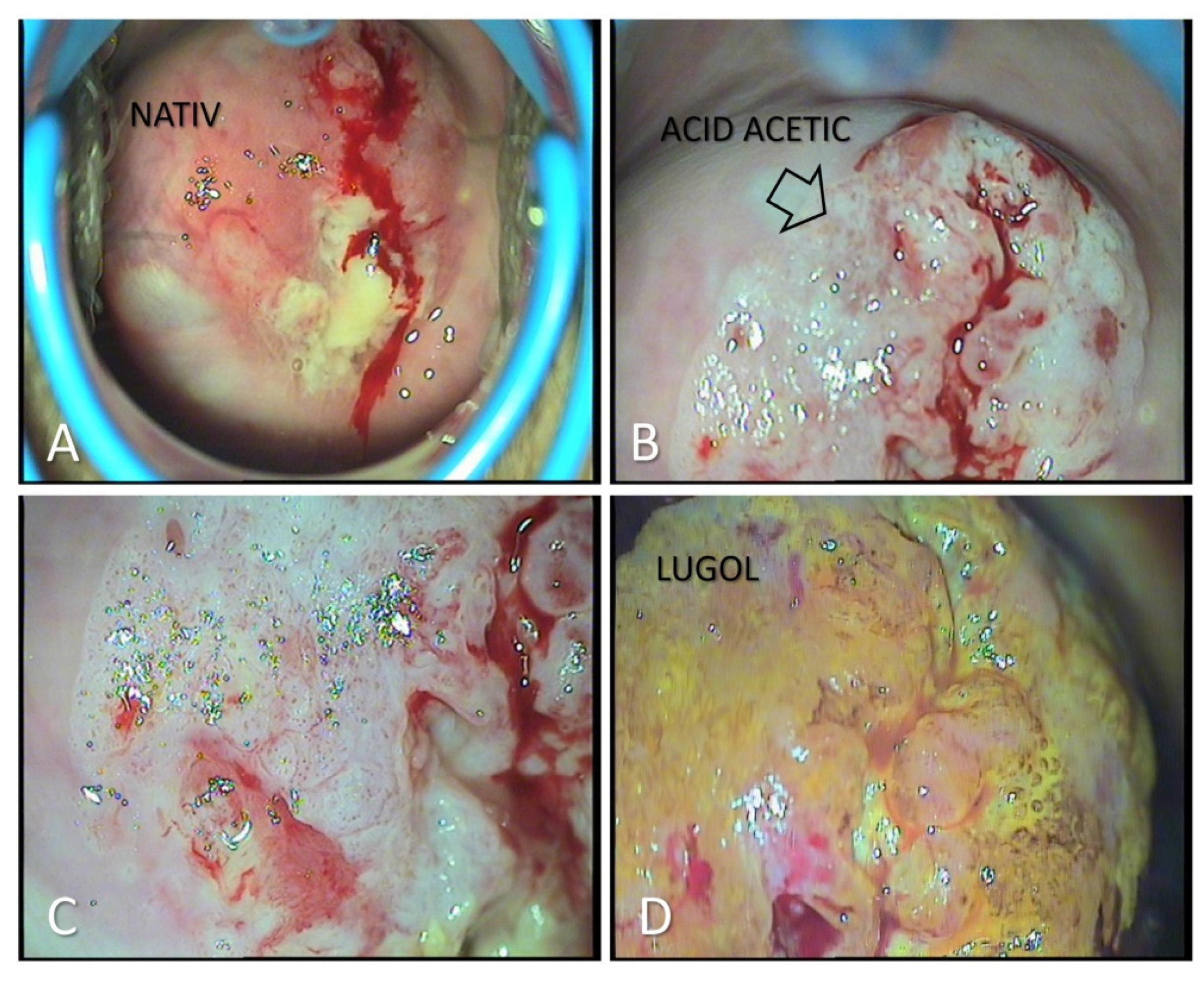 Medicina 57 01101 g003 550