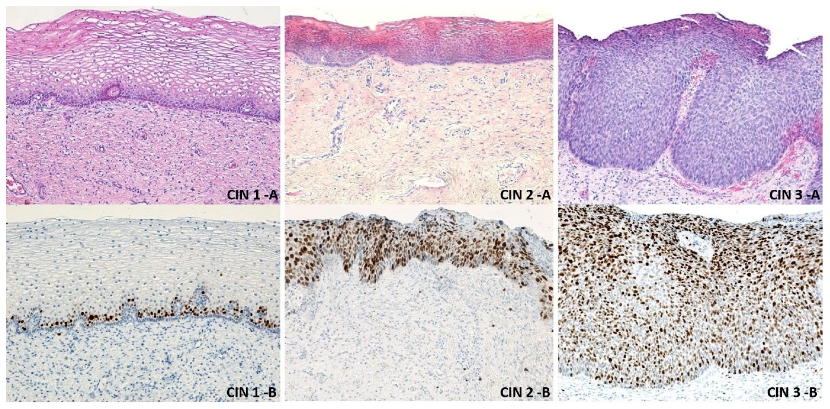 Medicina 57 01101 g008 550
