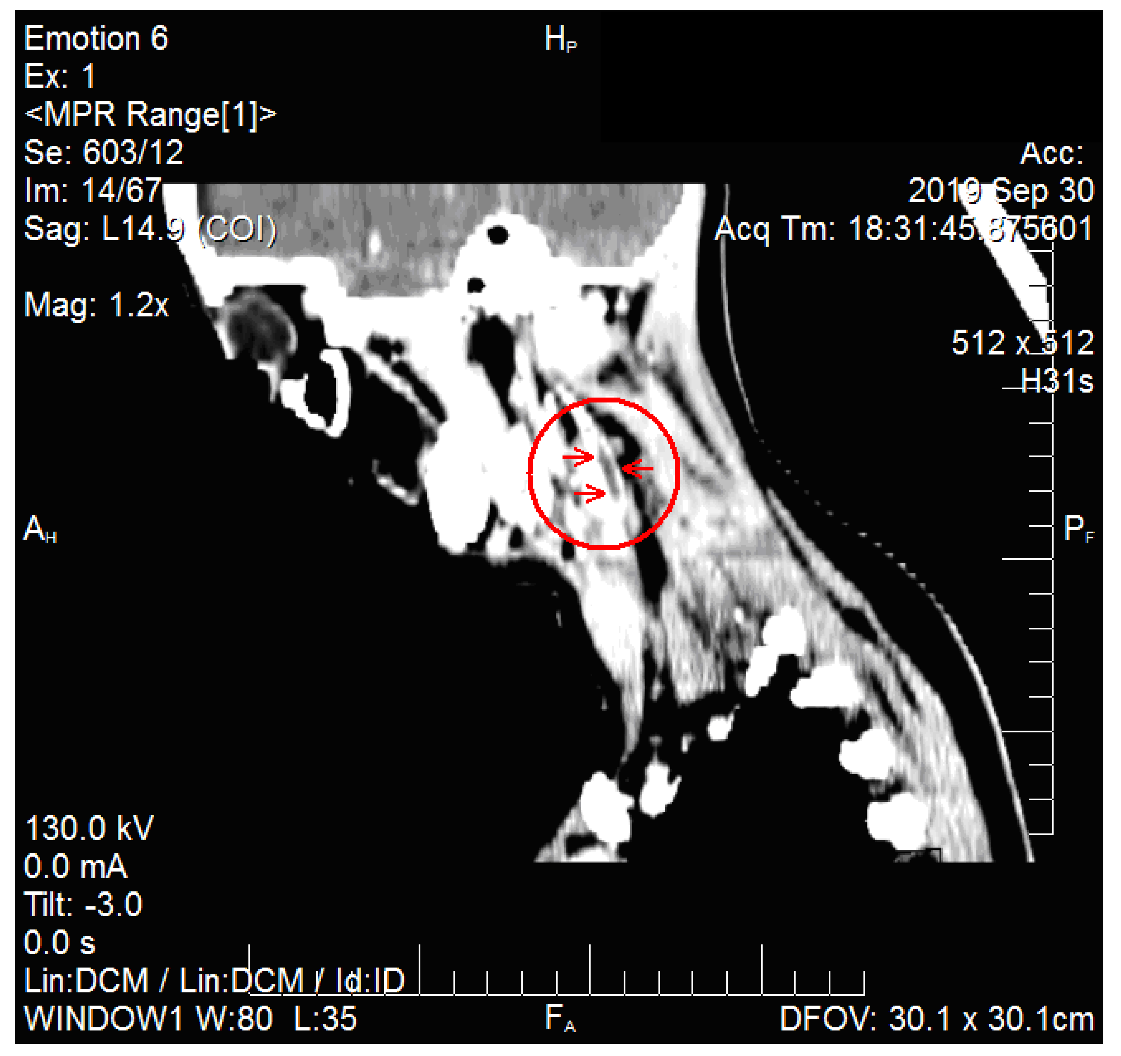 Medicina 57 01102 g001 550