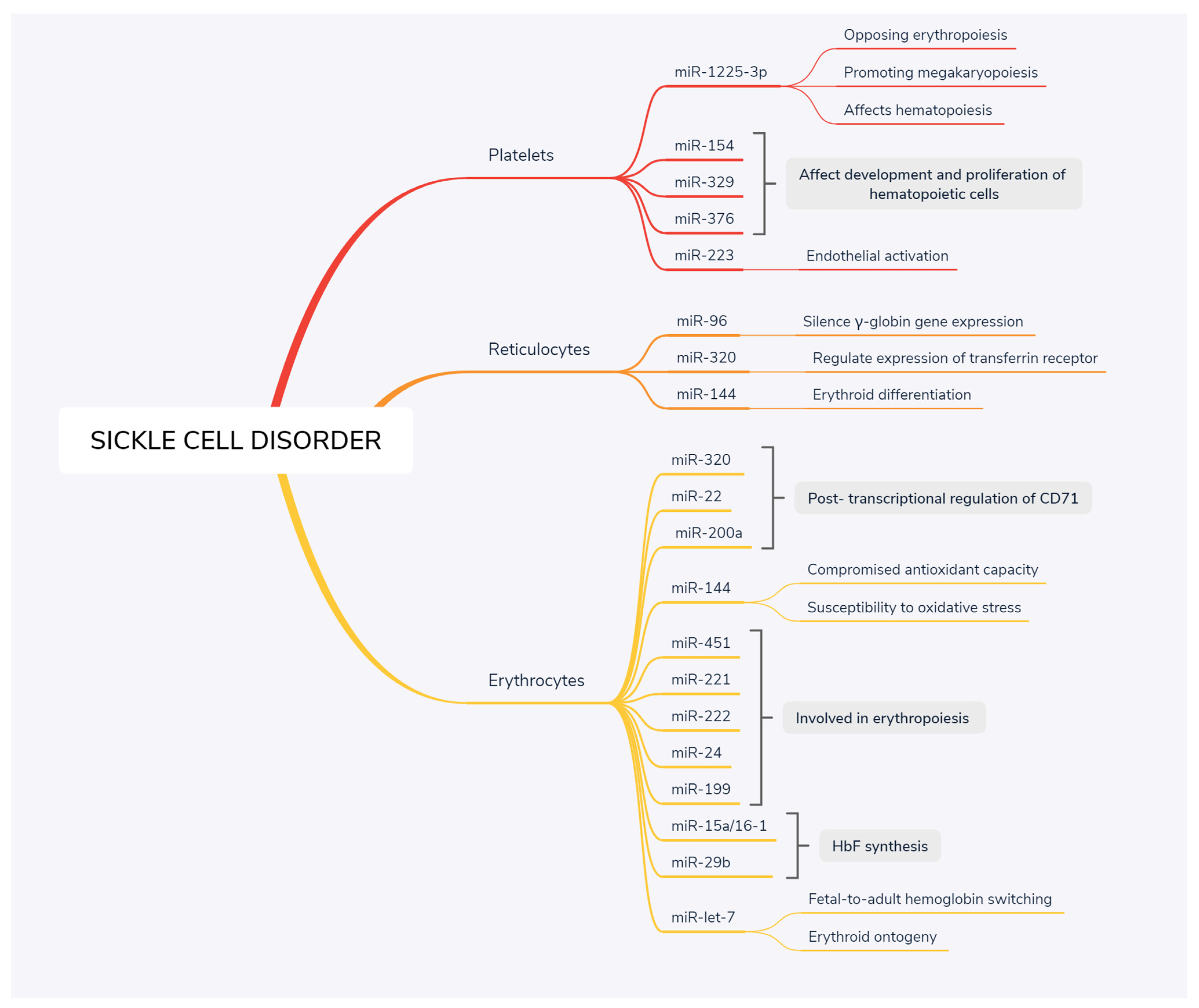 Medicina 57 01106 g001