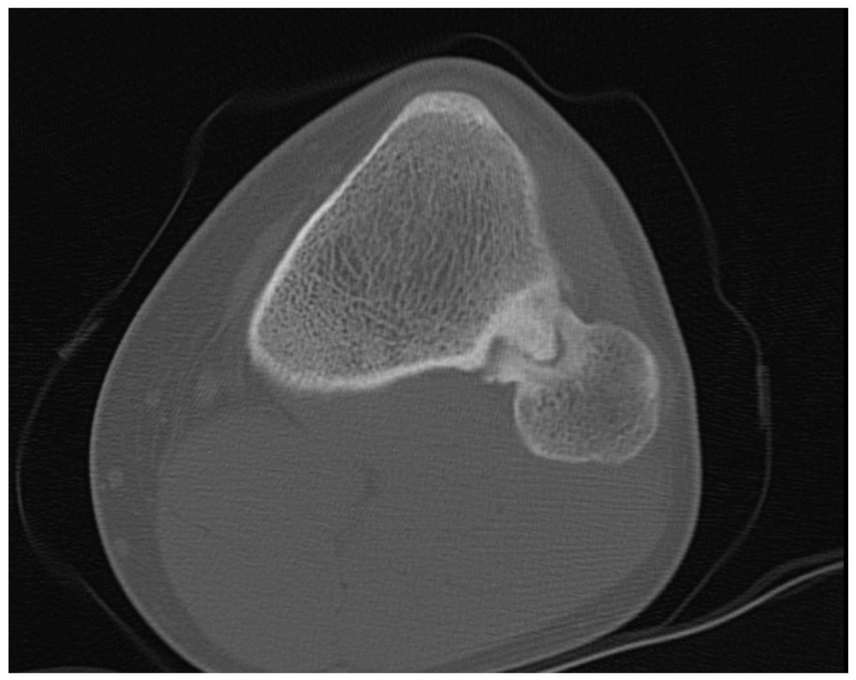 Medicina 57 01126 g002