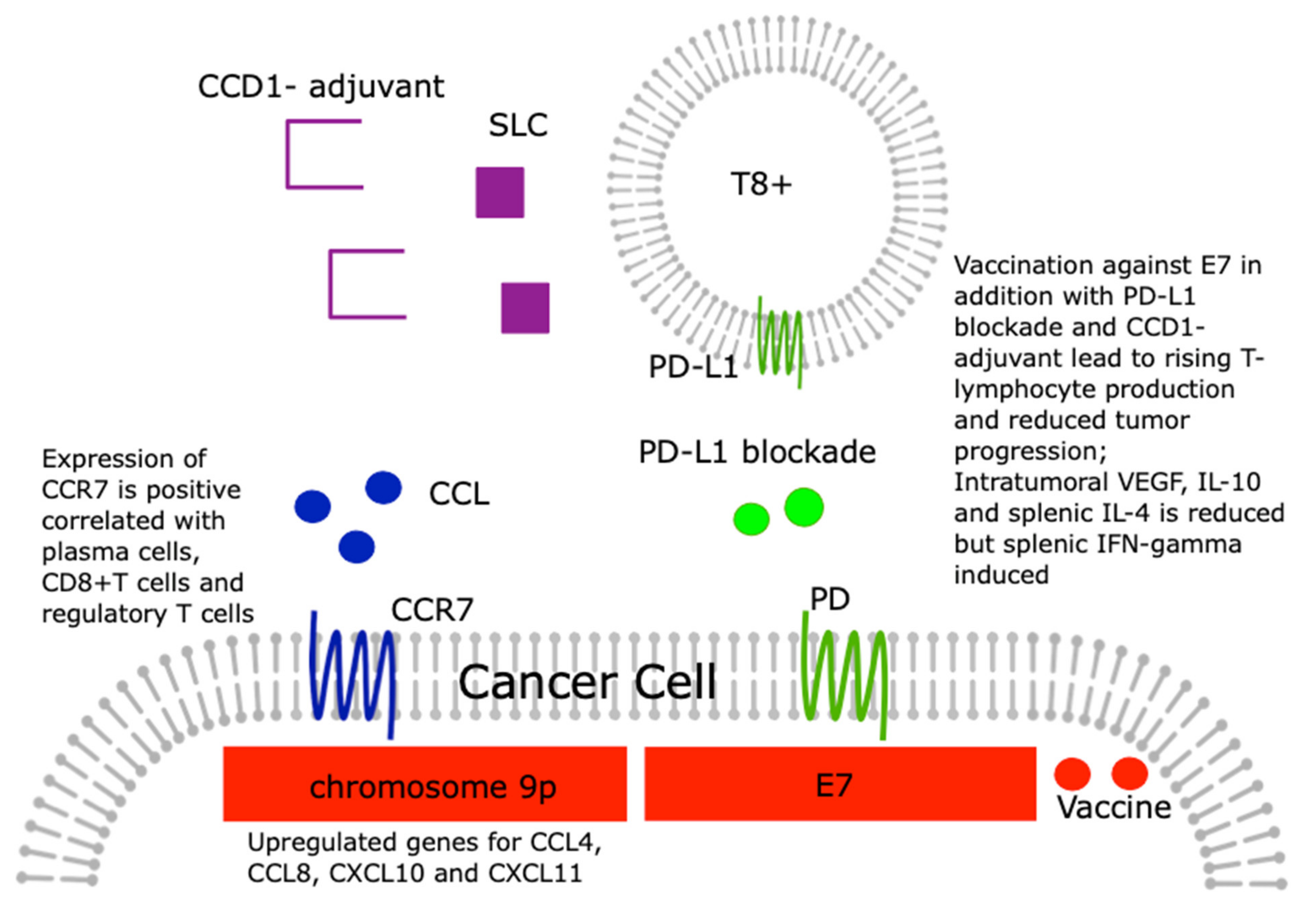 Medicina 57 01141 g003