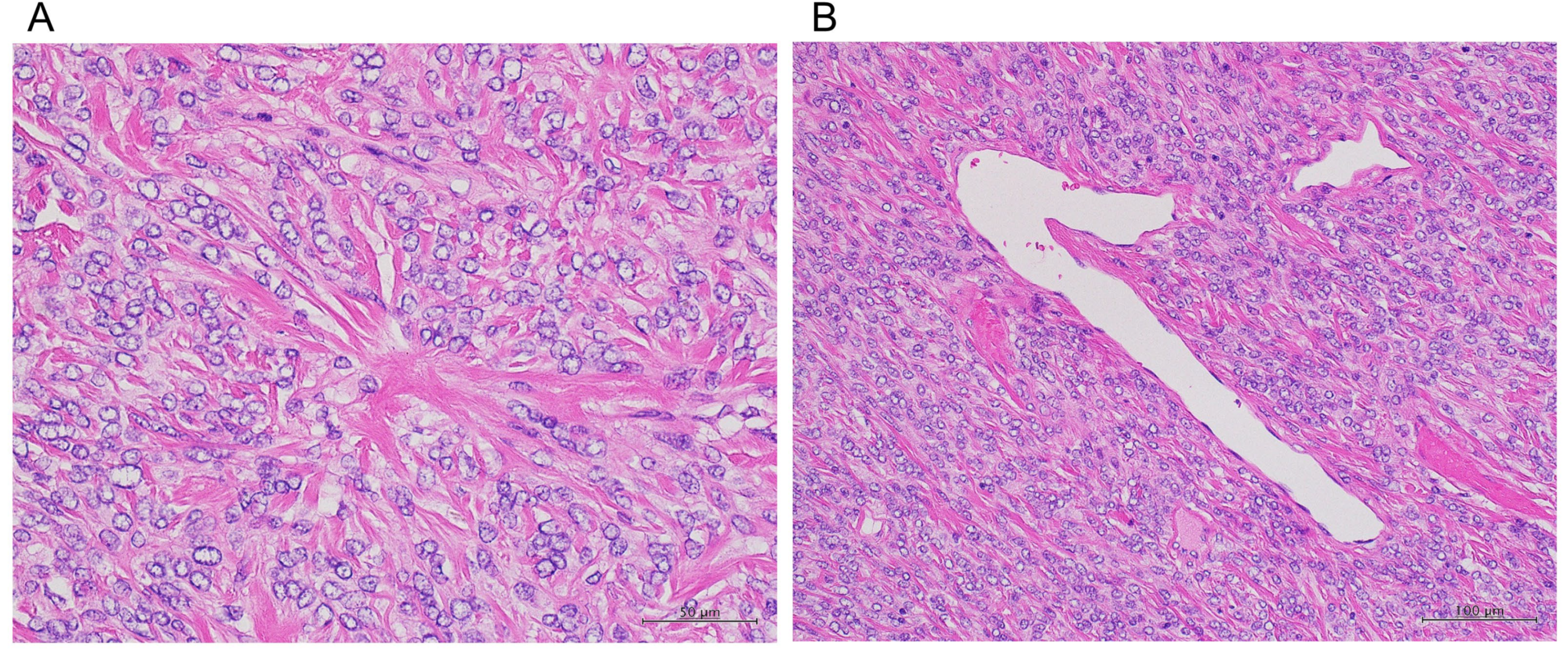 Medicina 57 01152 g005