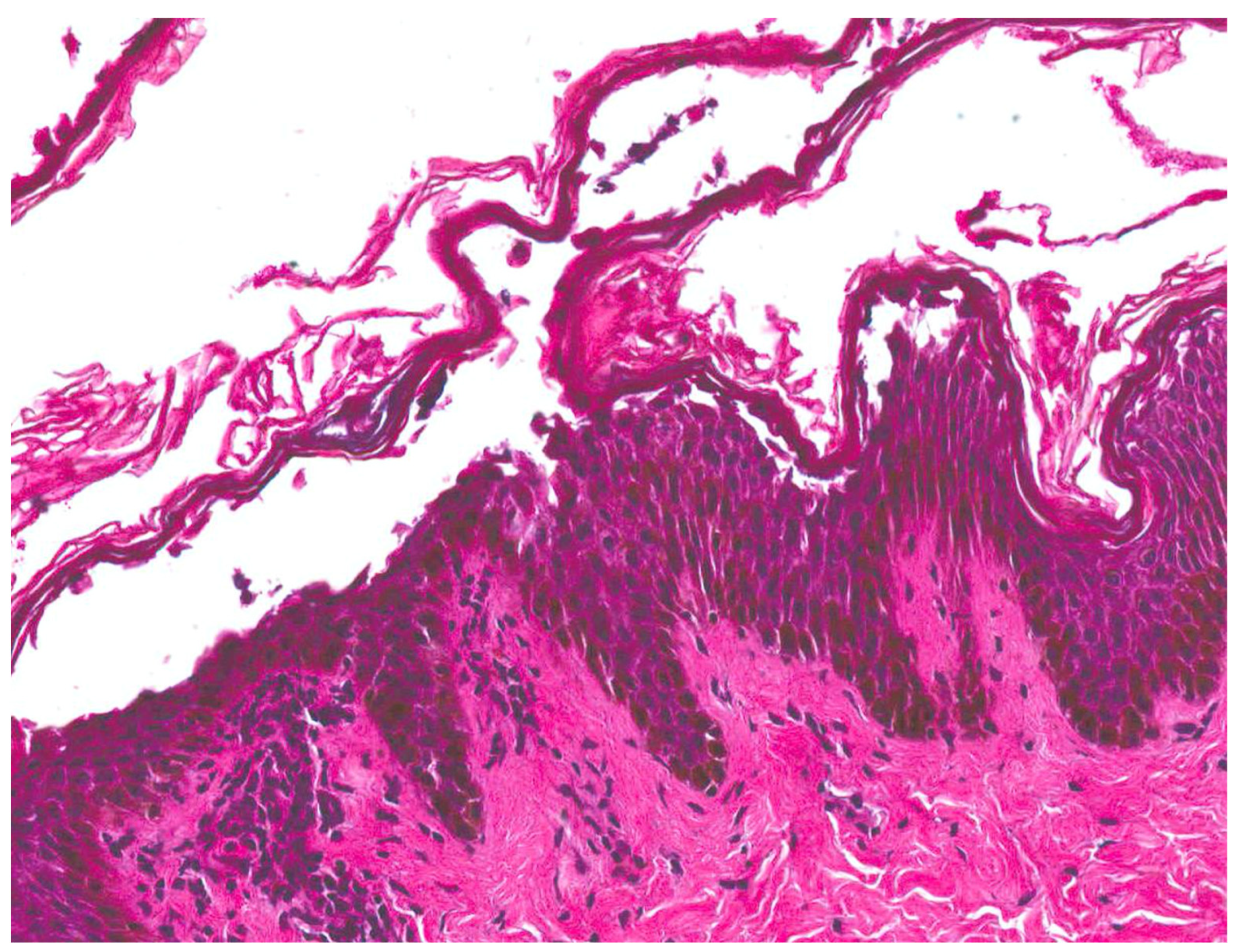 Medicina 57 01157 g002 550