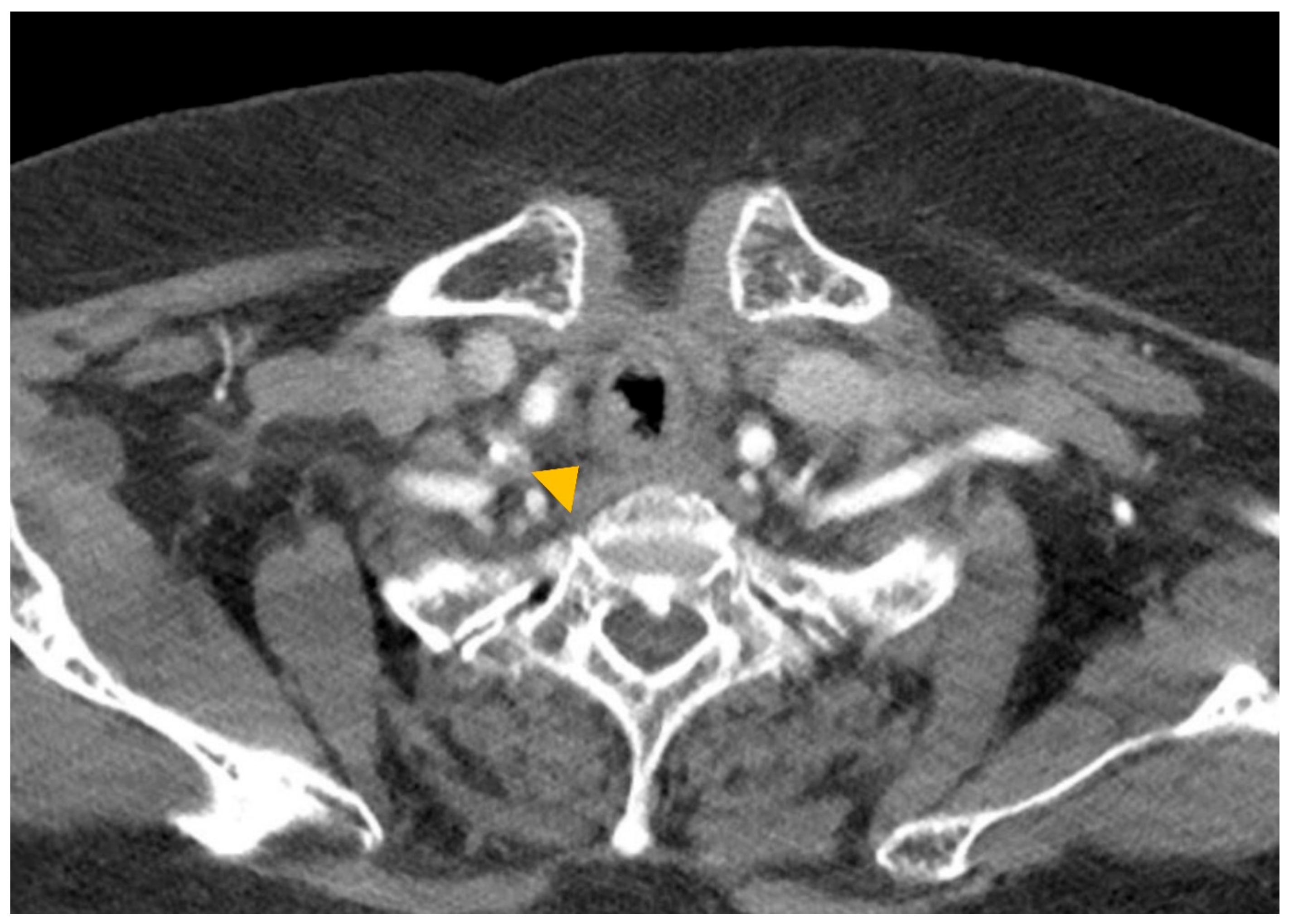 Medicina 57 01162 g001
