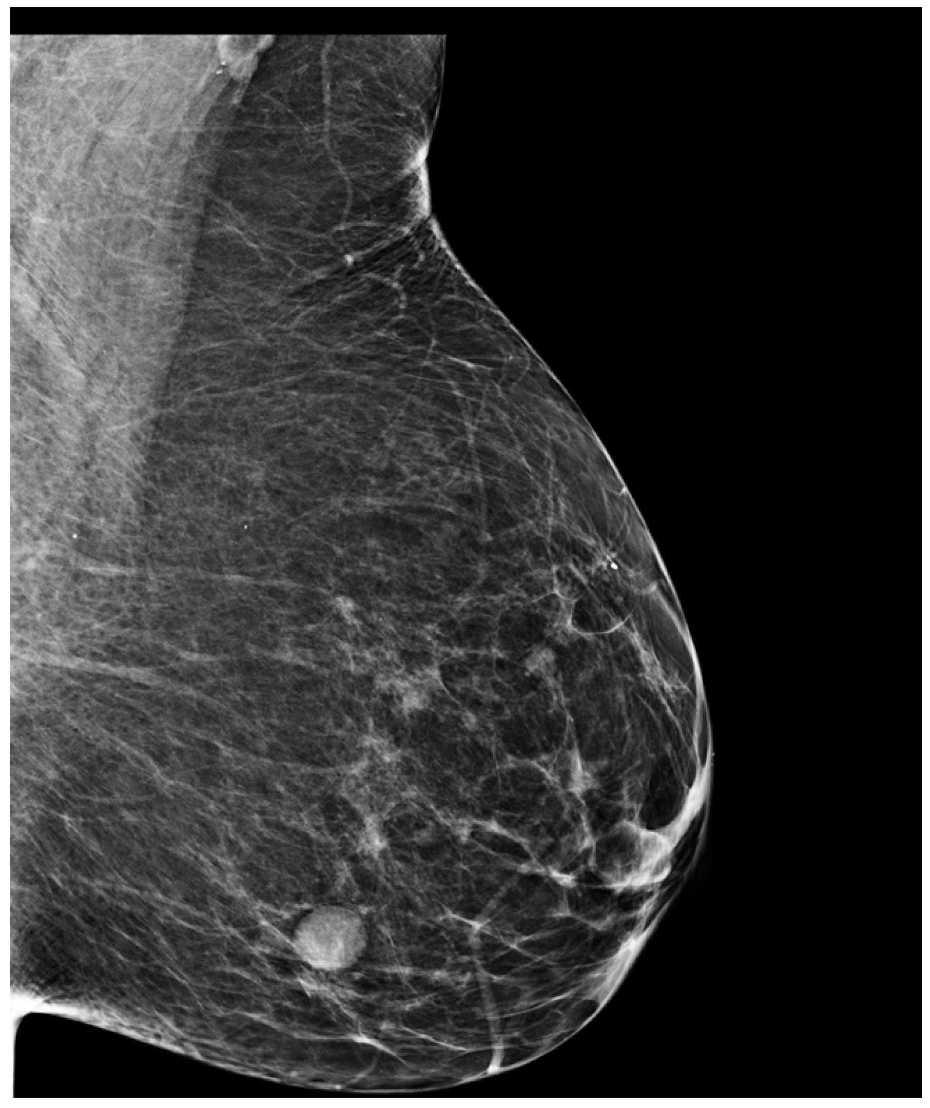 Medicina 57 01167 g002