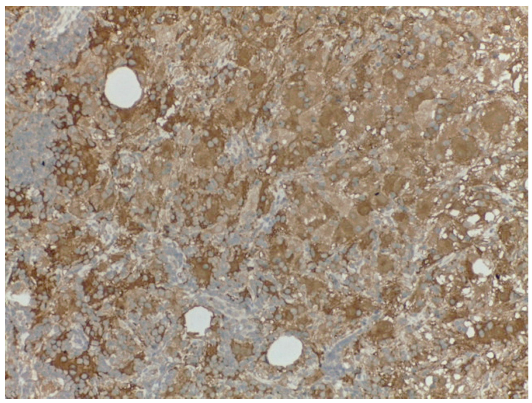 Medicina 57 01167 g004