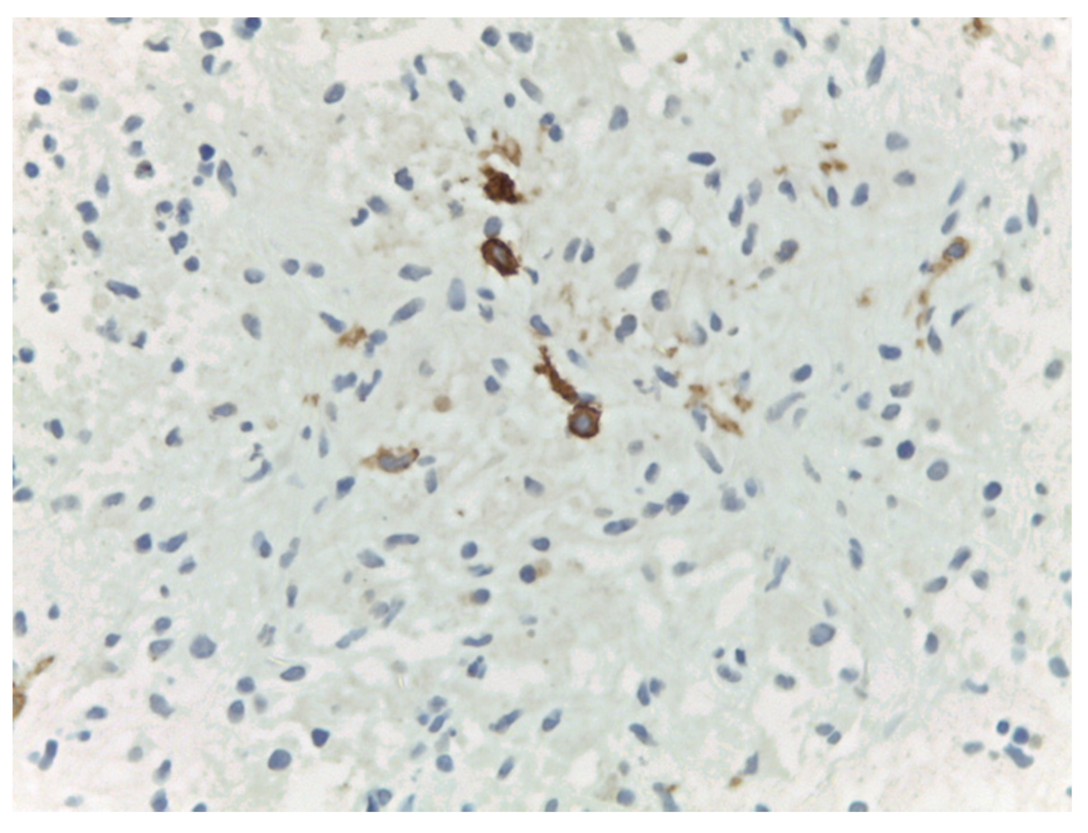 Medicina 57 01167 g006