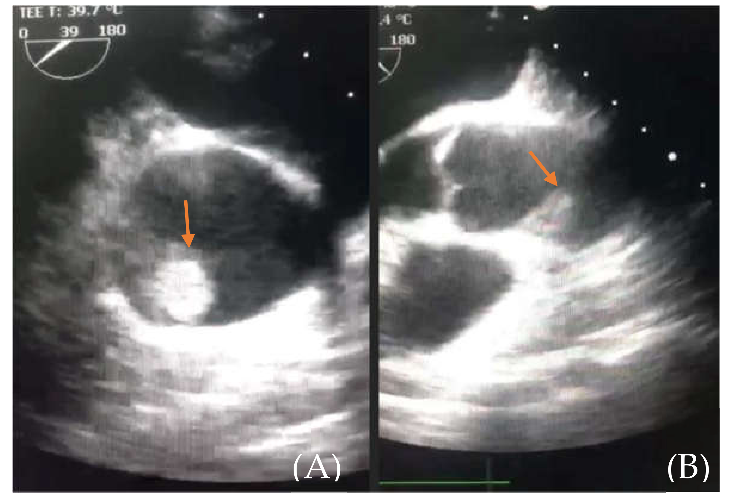 Medicina 57 01176 g004