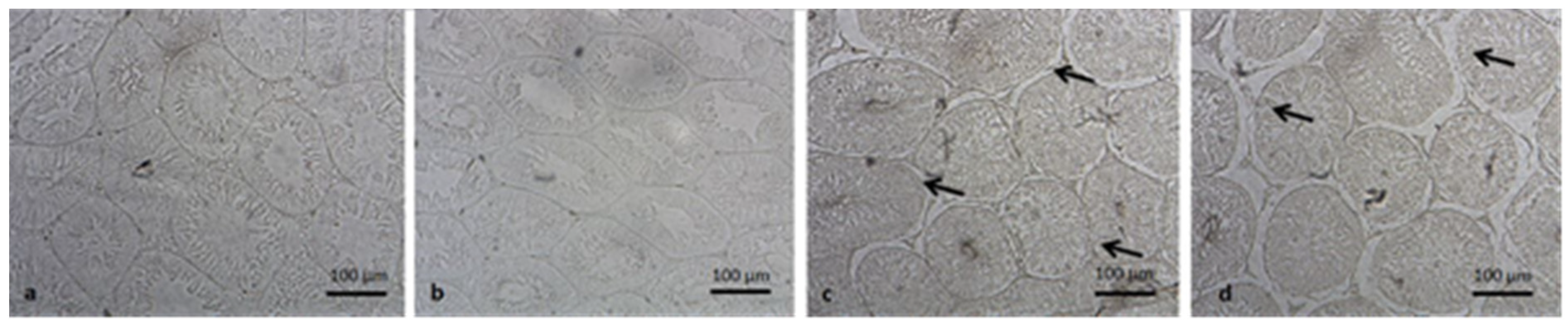 Medicina 57 01177 g001 550
