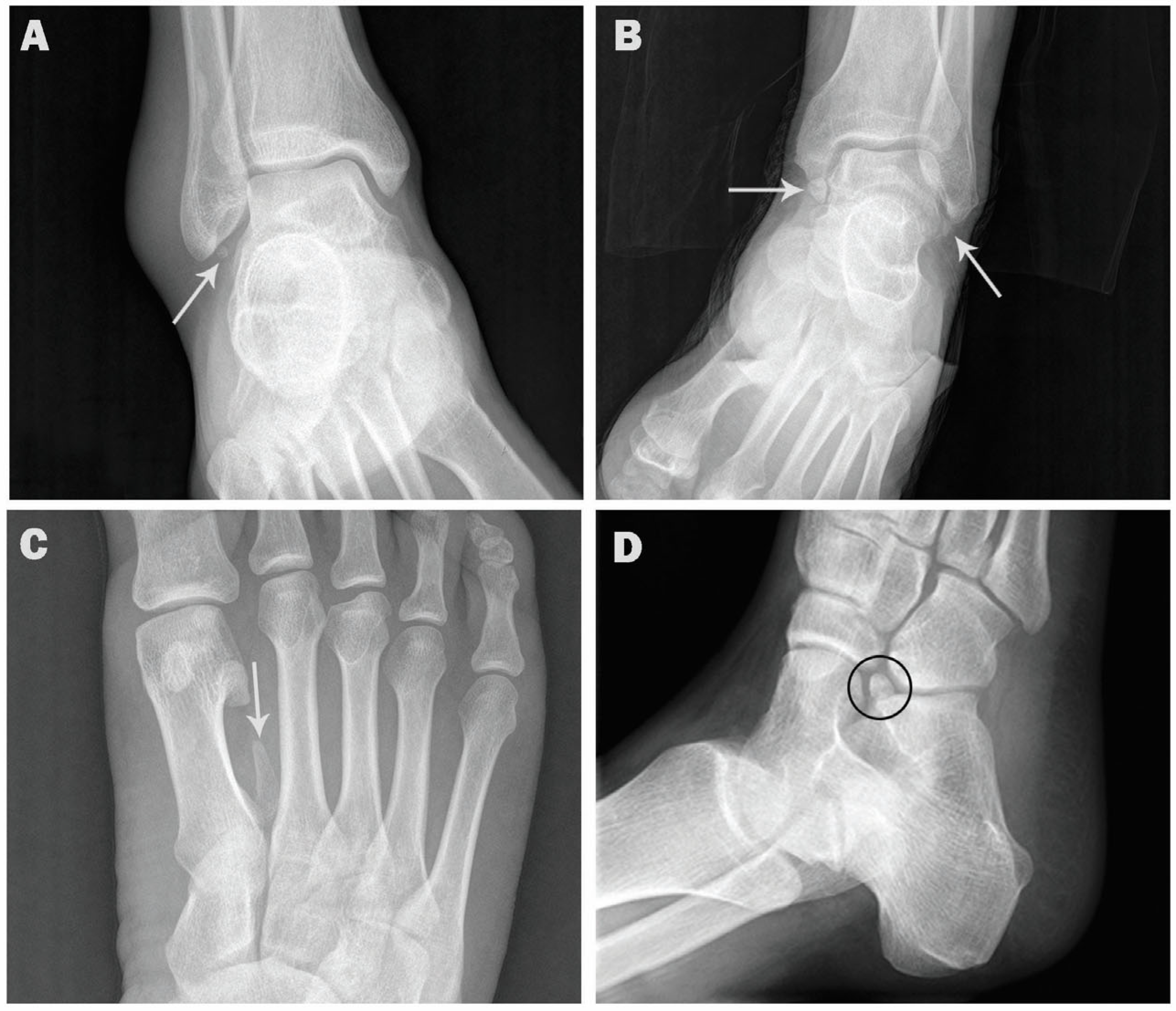 Medicina 57 01178 g002 Medicina 57 01178 g002