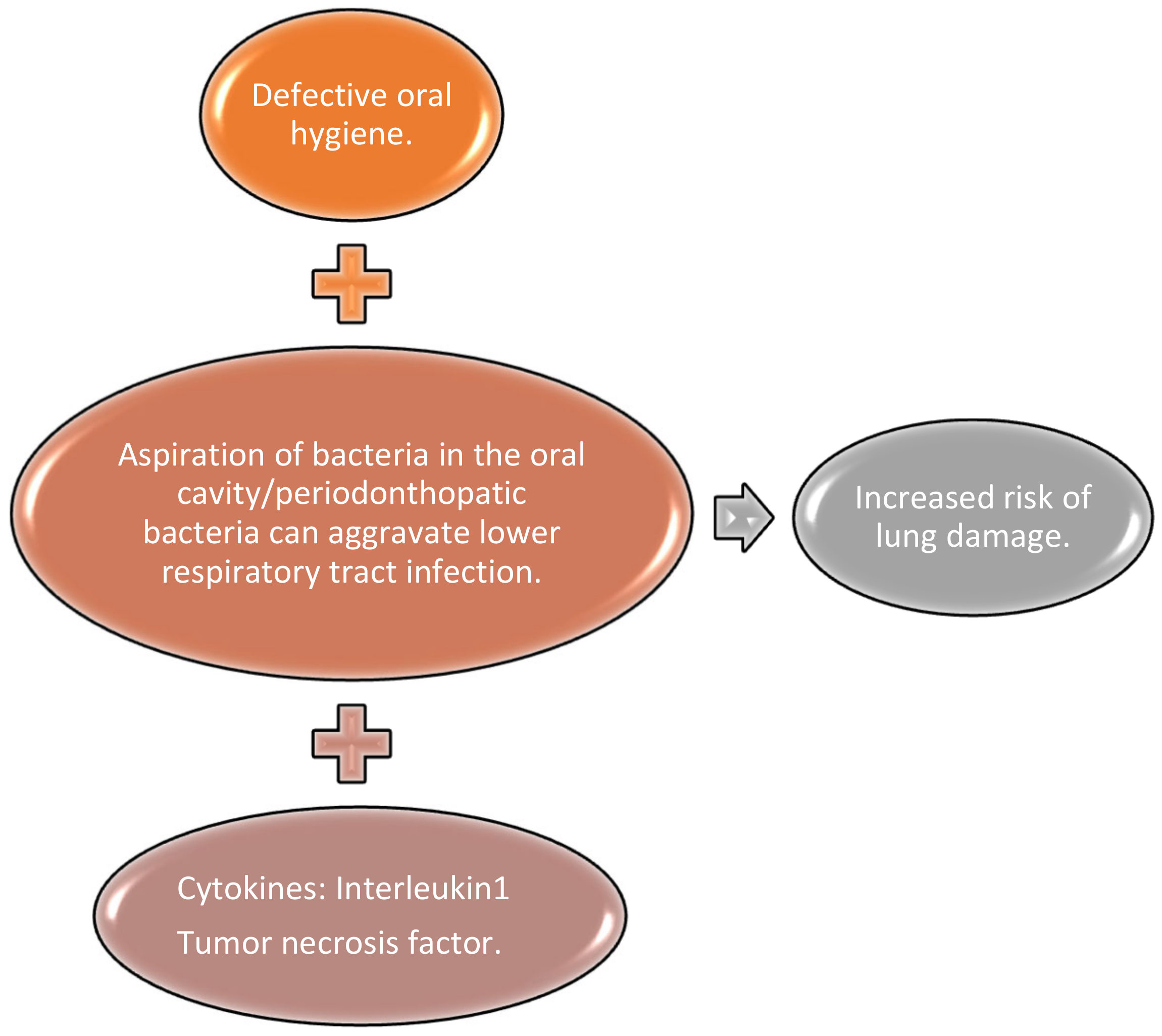 Medicina 57 01189 g002 550