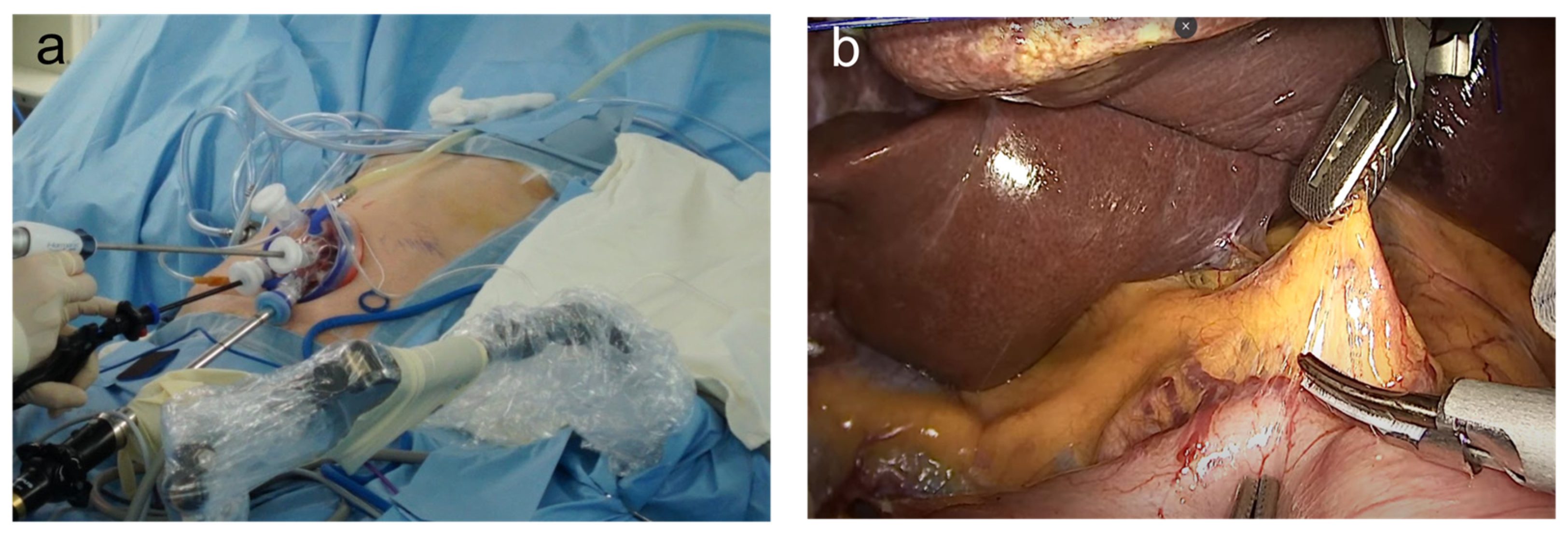 Medicina 57 01195 g001 Medicina 57 01195 g001