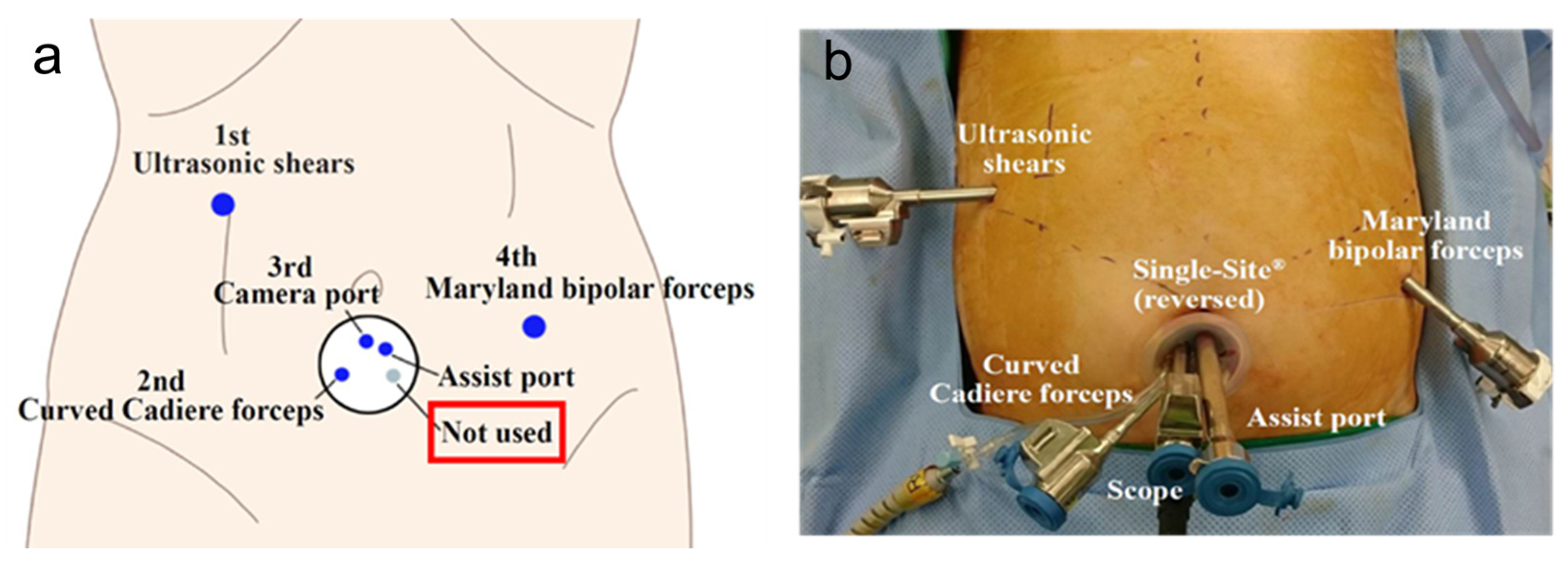 Medicina 57 01195 g002 Medicina 57 01195 g002