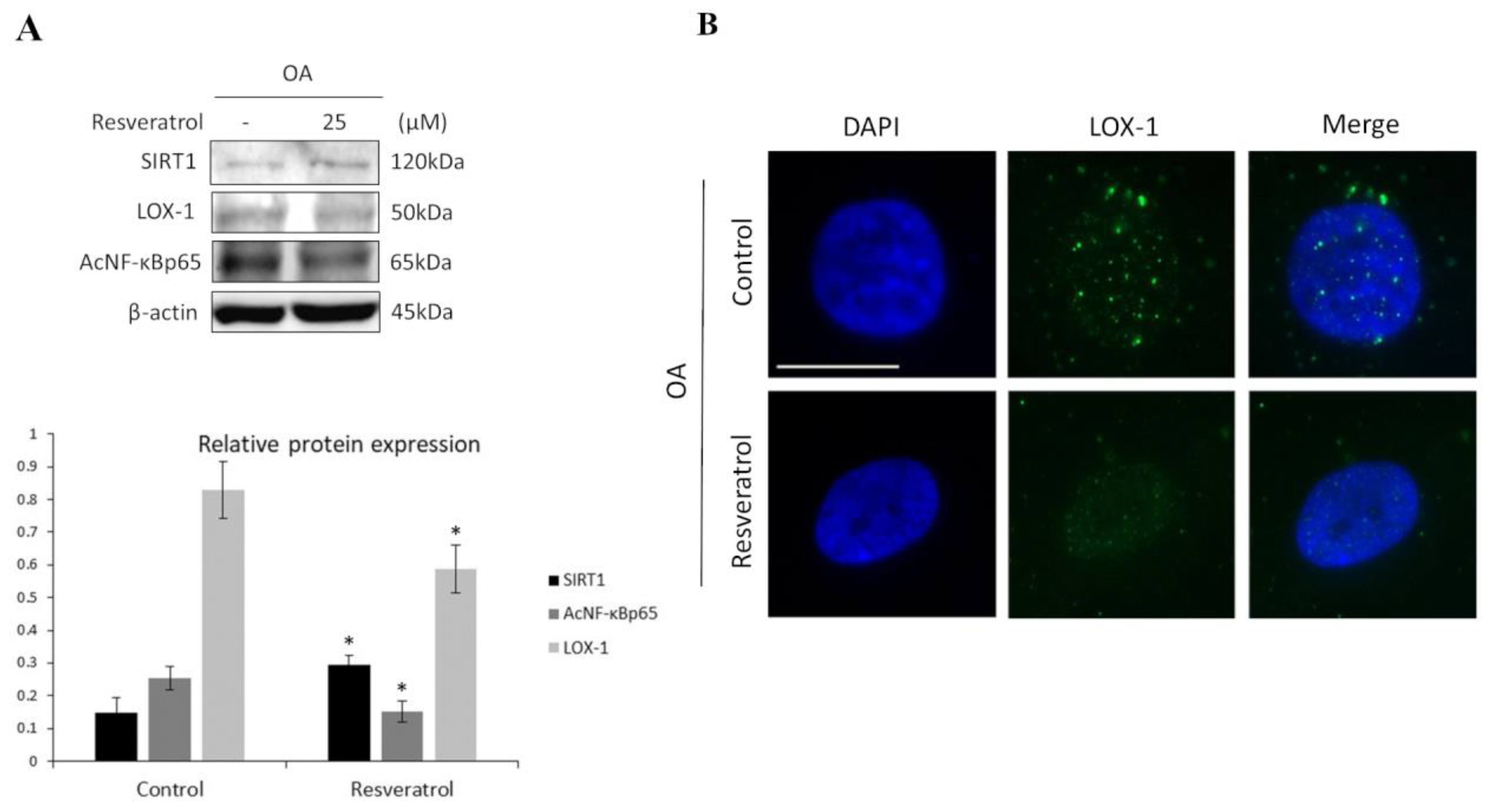 Medicina 57 01203 g002 Medicina 57 01203 g002