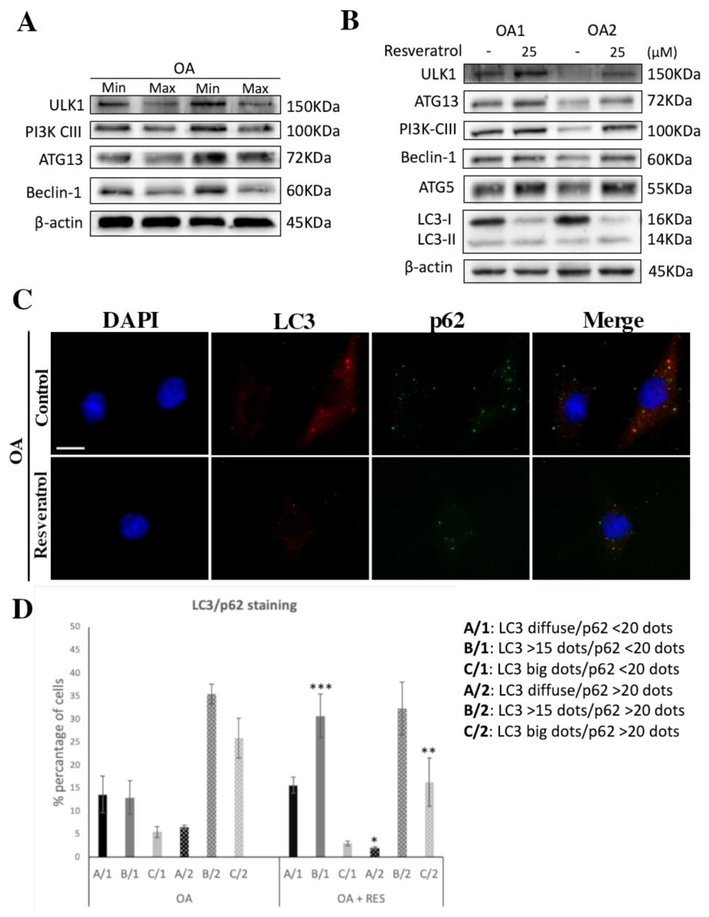 Medicina 57 01203 g003 Medicina 57 01203 g003