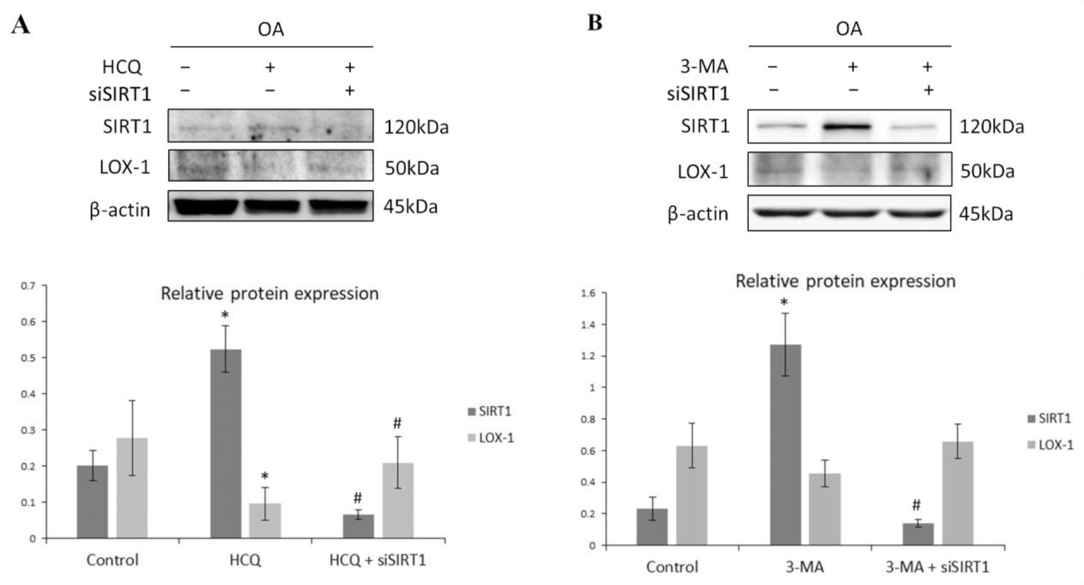 Medicina 57 01203 g004 Medicina 57 01203 g004