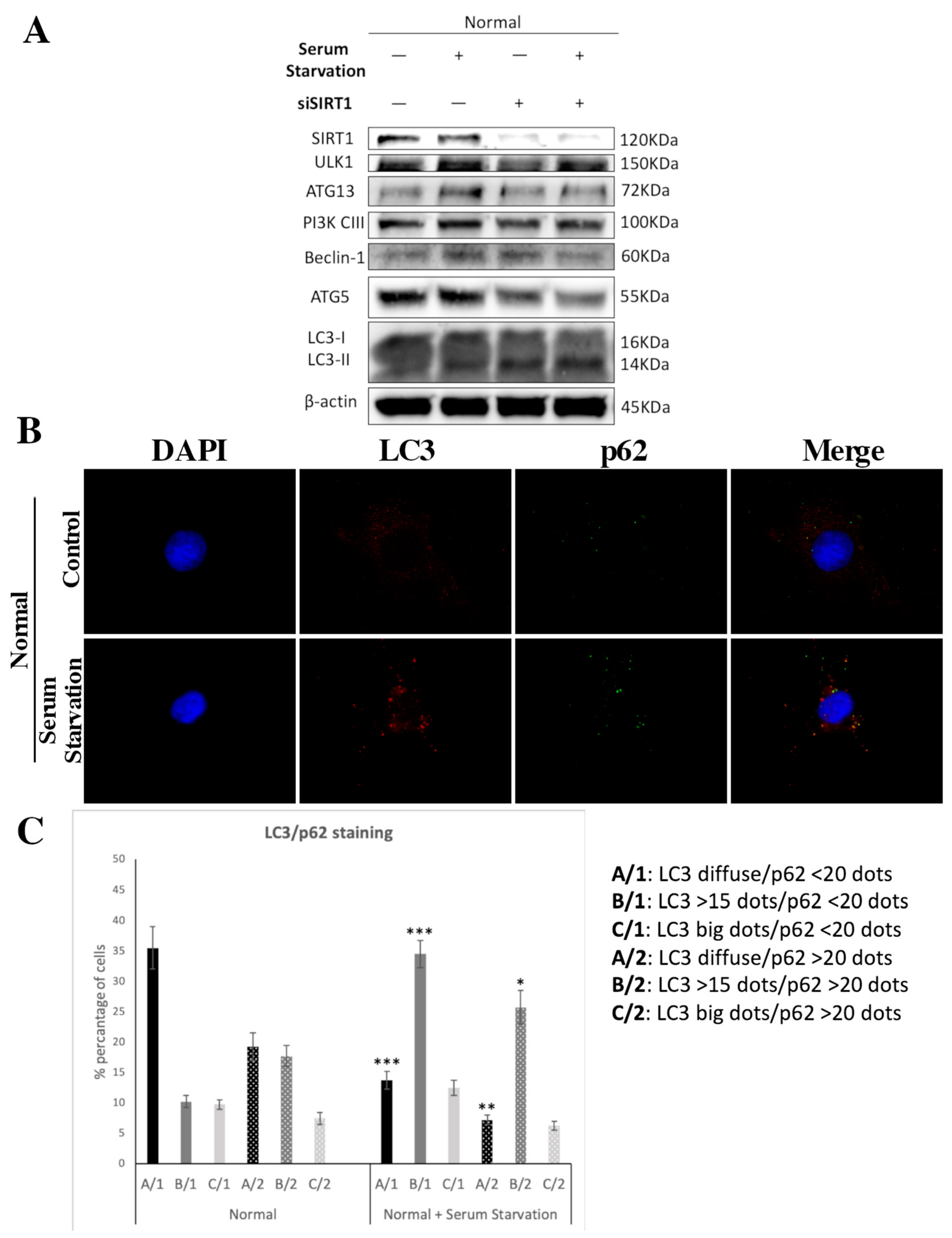 Medicina 57 01203 g006 Medicina 57 01203 g006