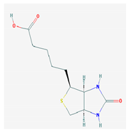 Medicina 57 01204 i008