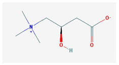Medicina 57 01204 i011