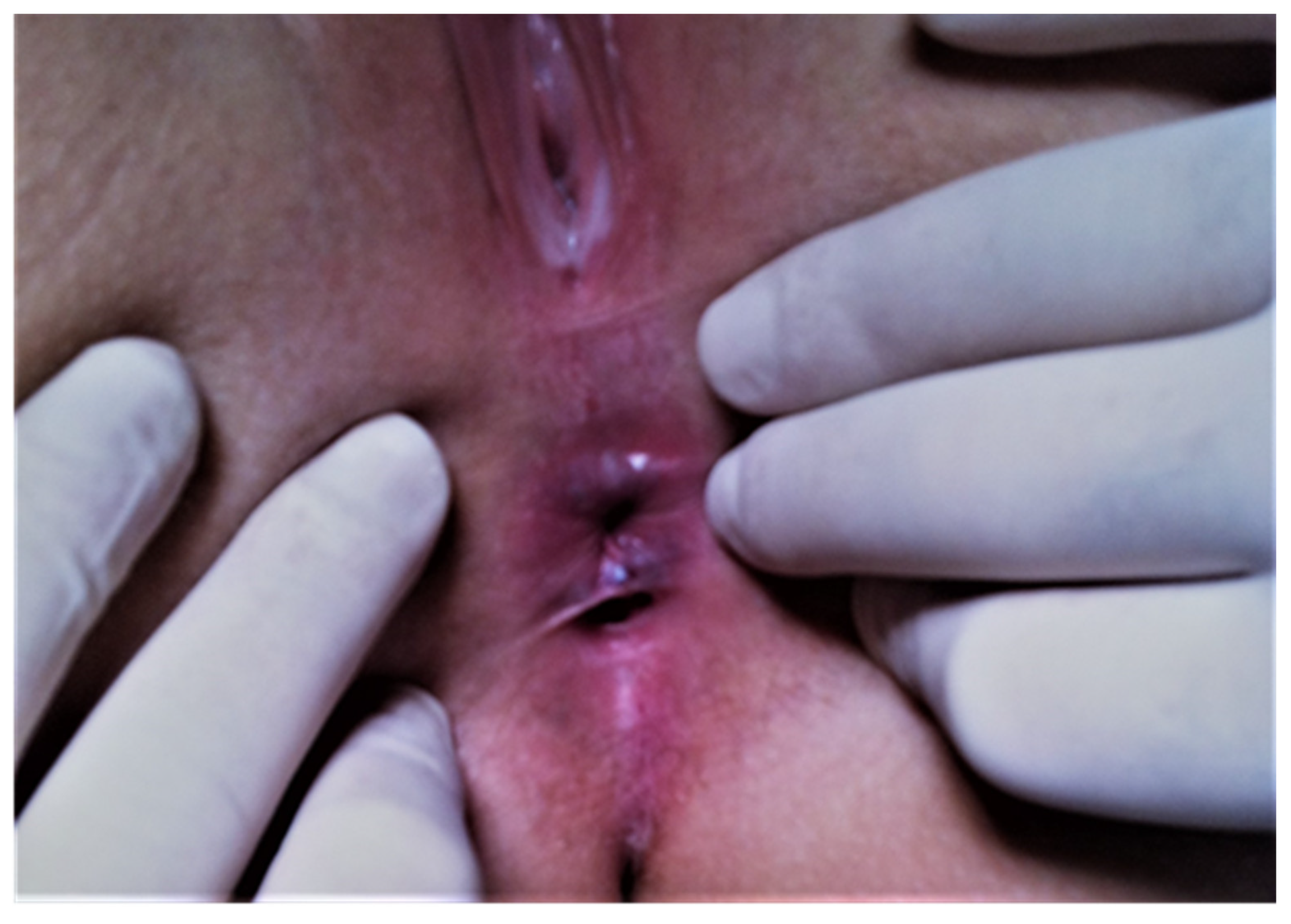 Medicina 57 01205 g001