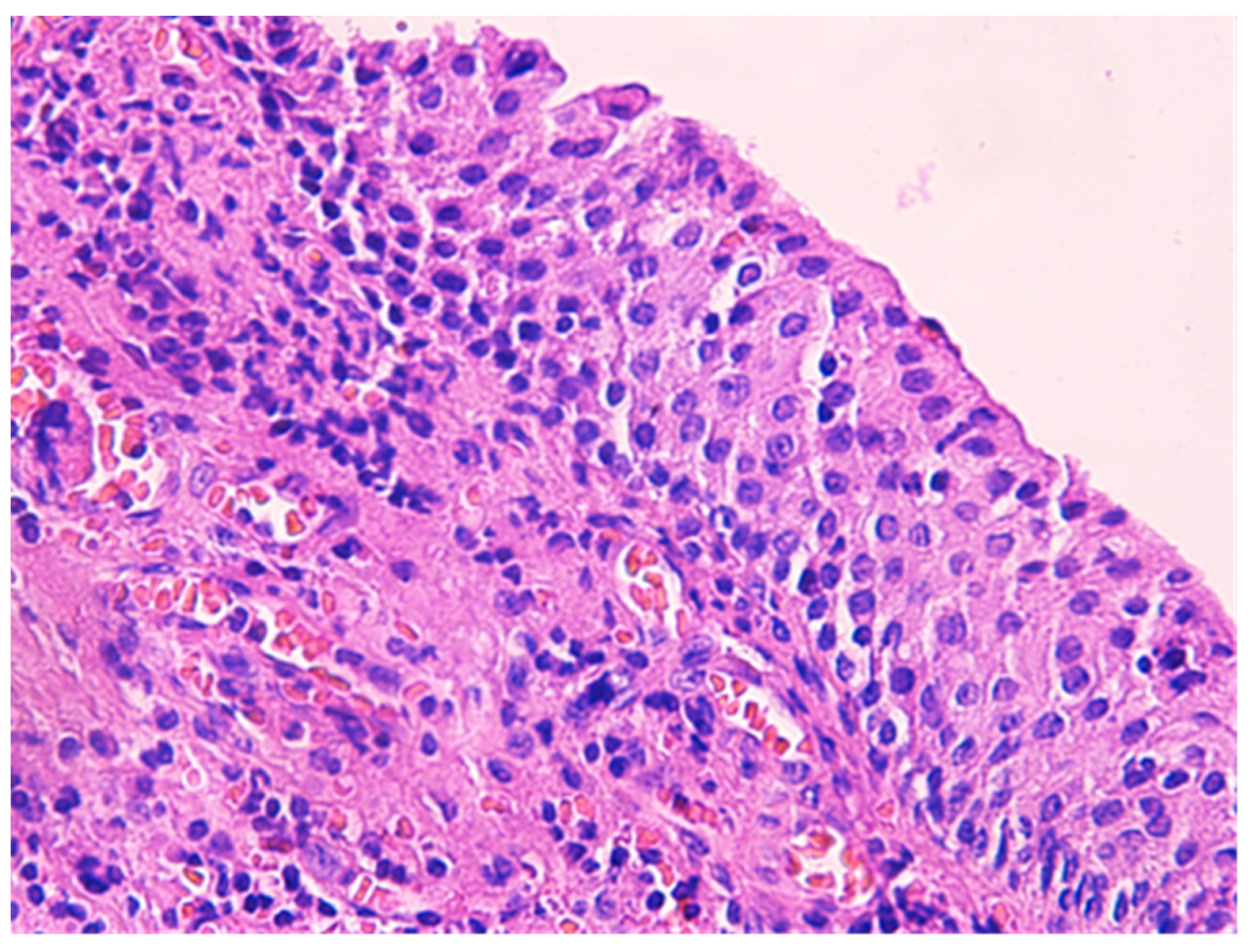 Medicina 57 01205 g003