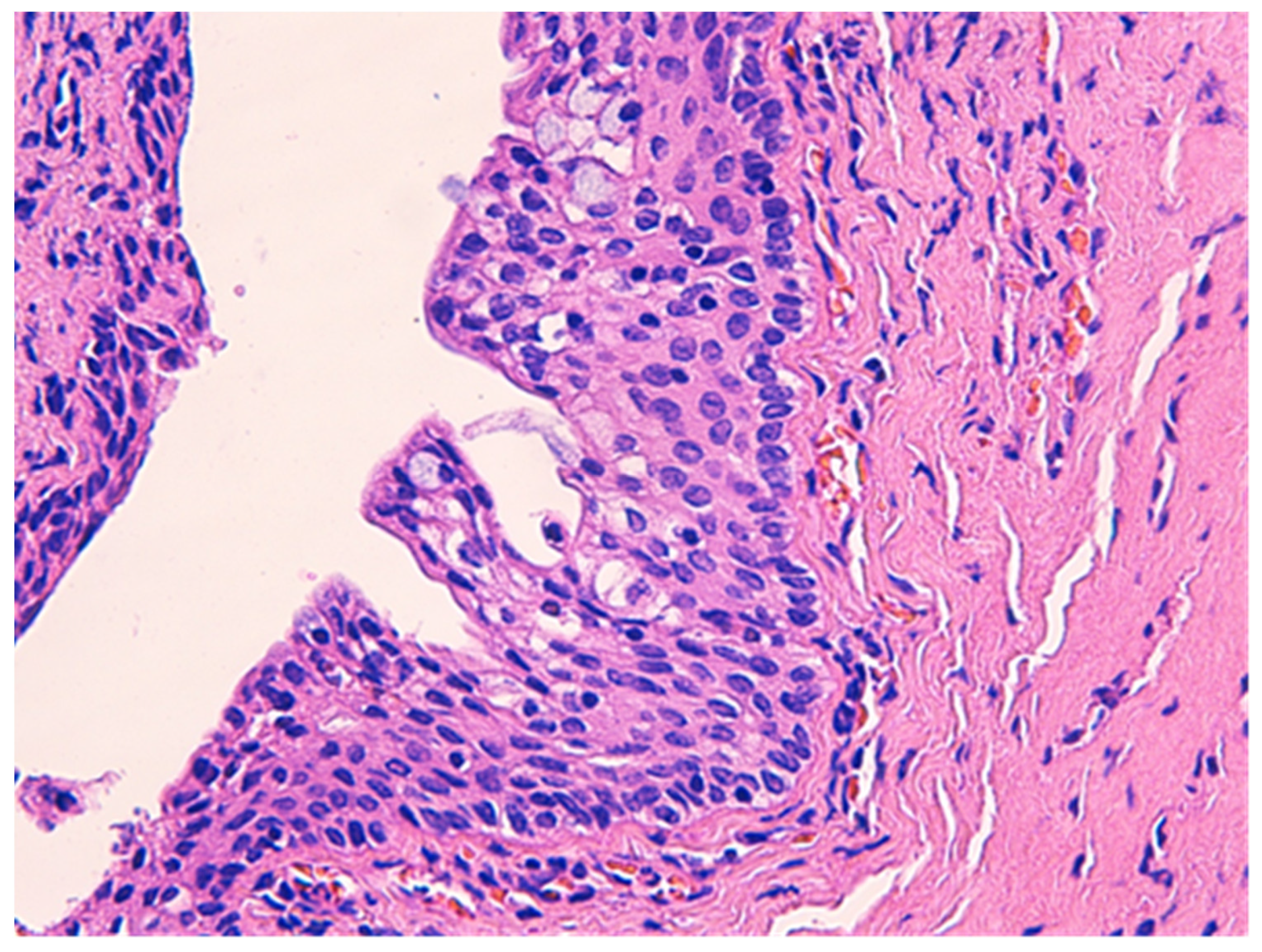 Medicina 57 01205 g004