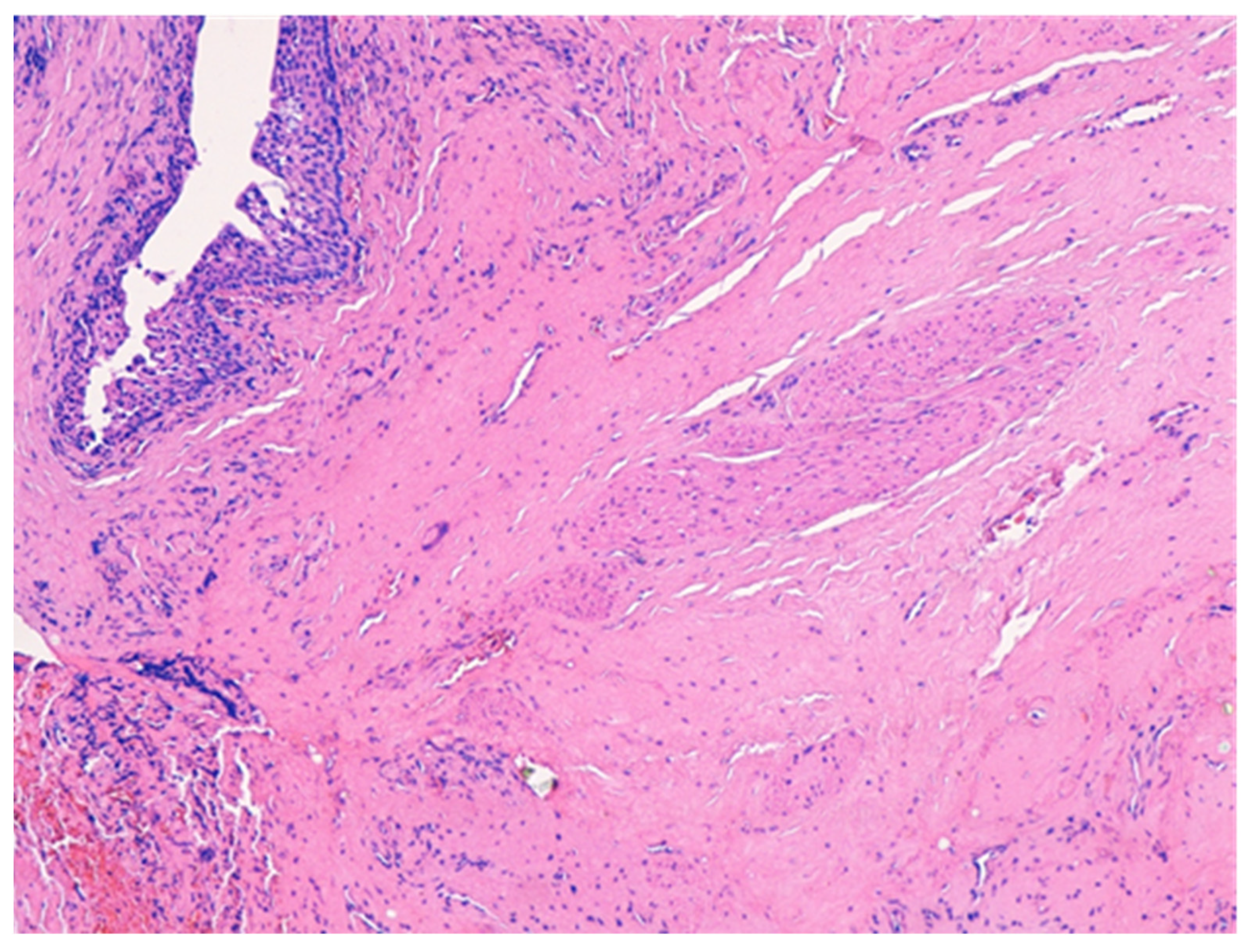 Medicina 57 01205 g005