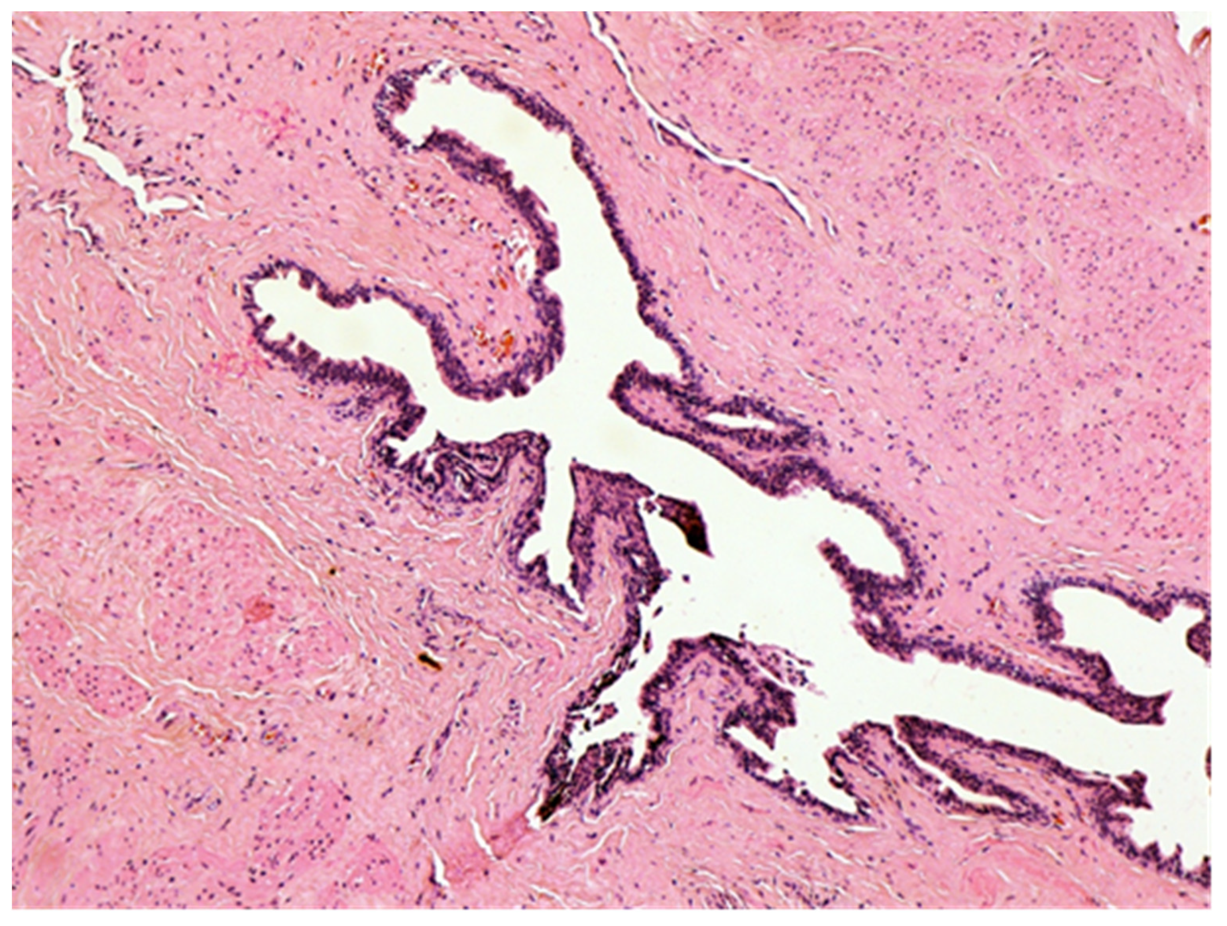 Medicina 57 01205 g006