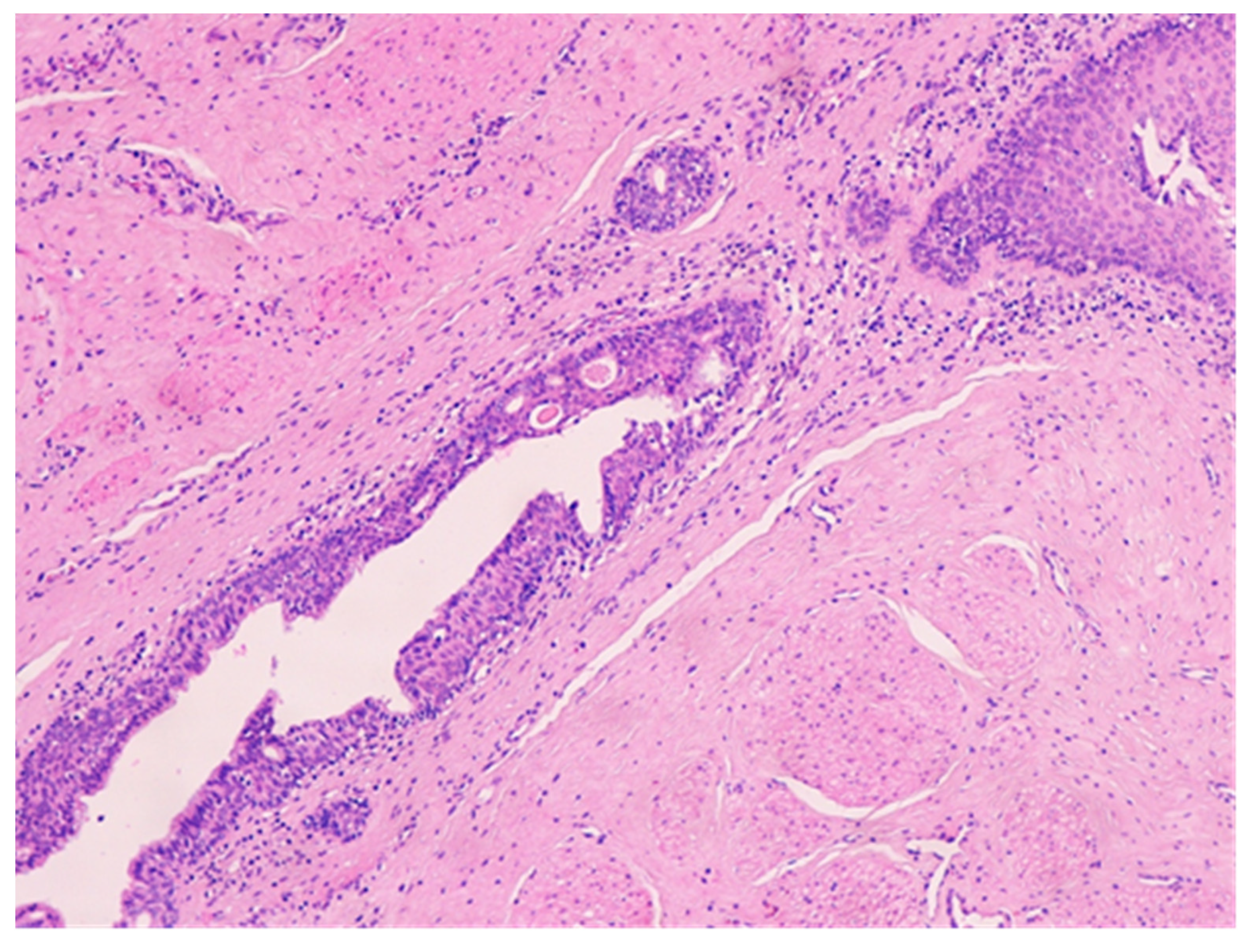 Medicina 57 01205 g007