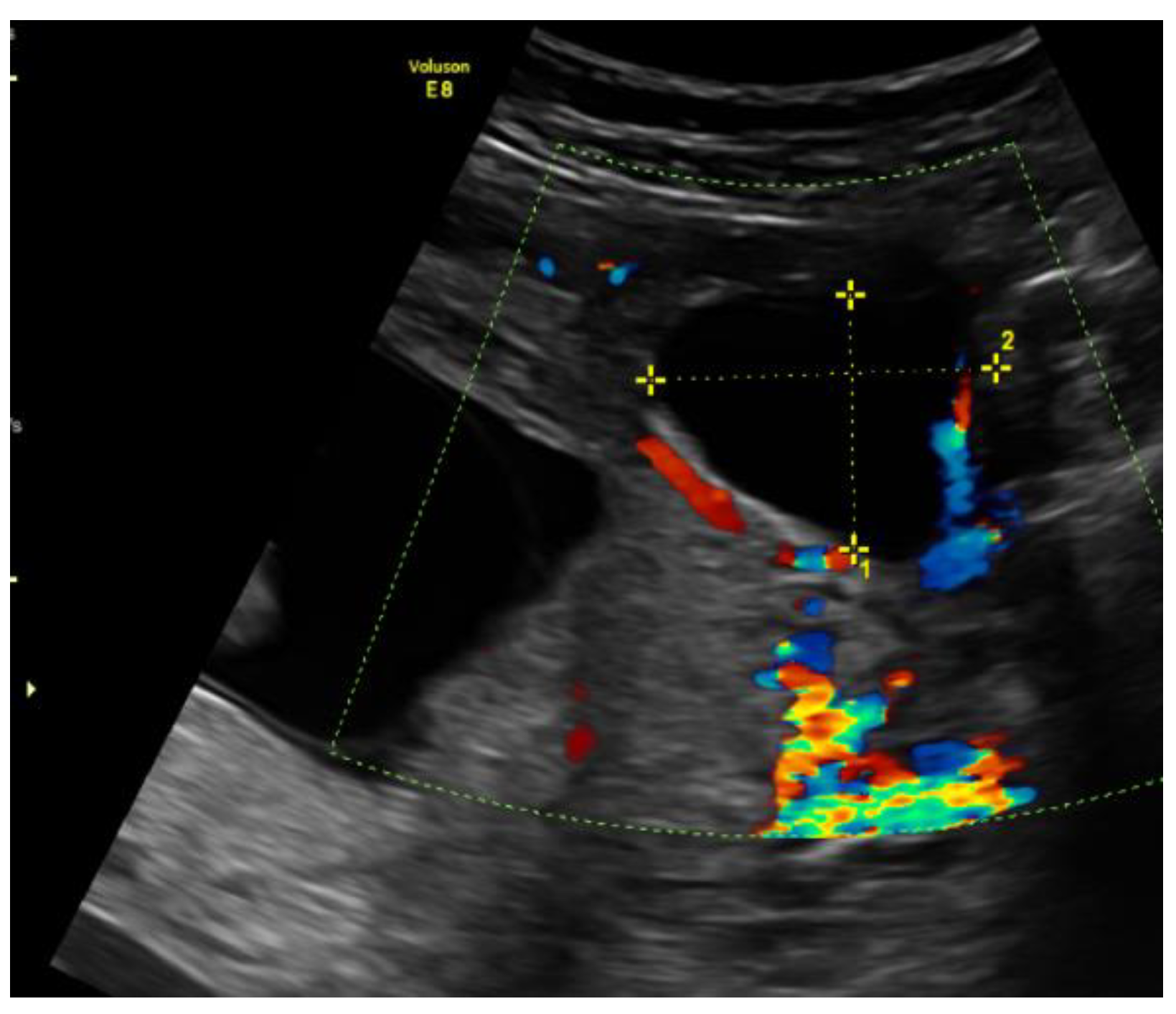 Medicina 57 01207 g001 550