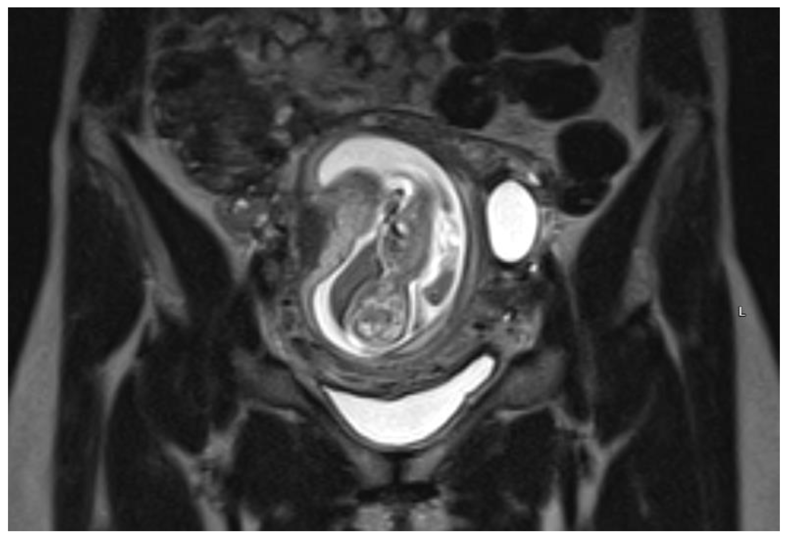 Medicina 57 01207 g002 550