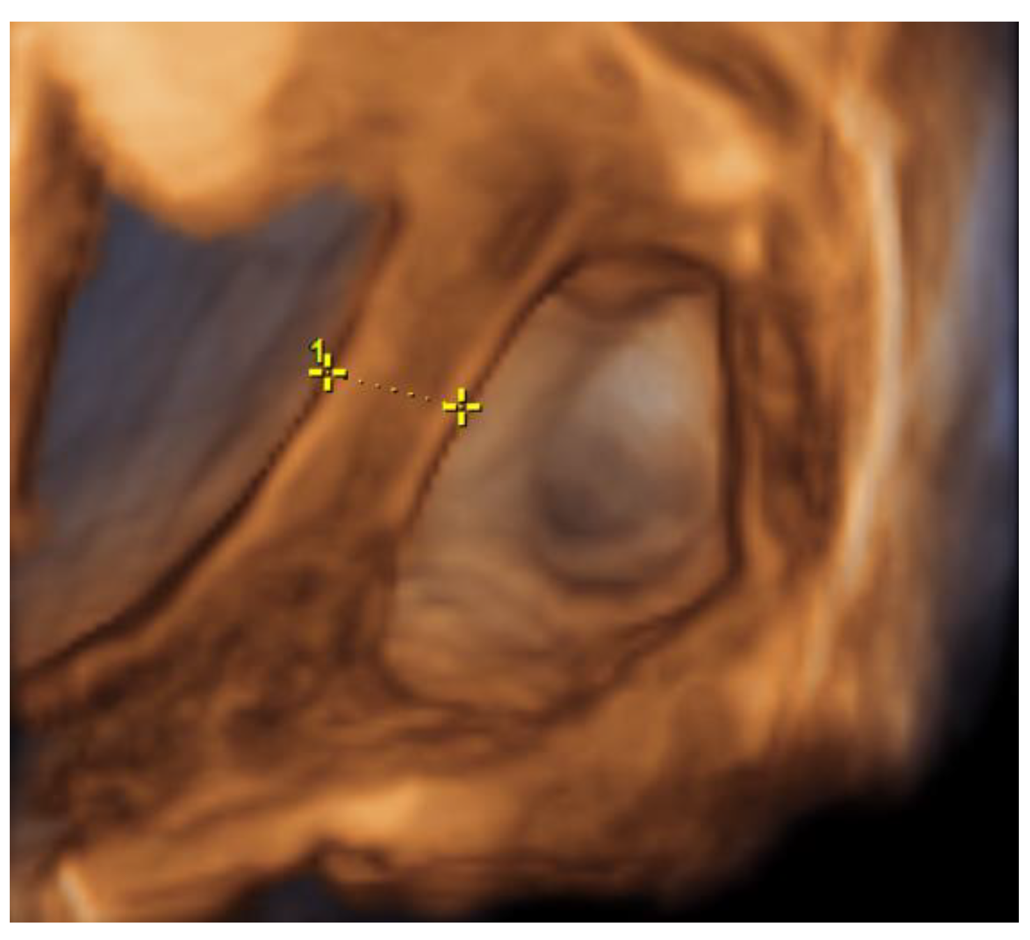 Medicina 57 01207 g006 550