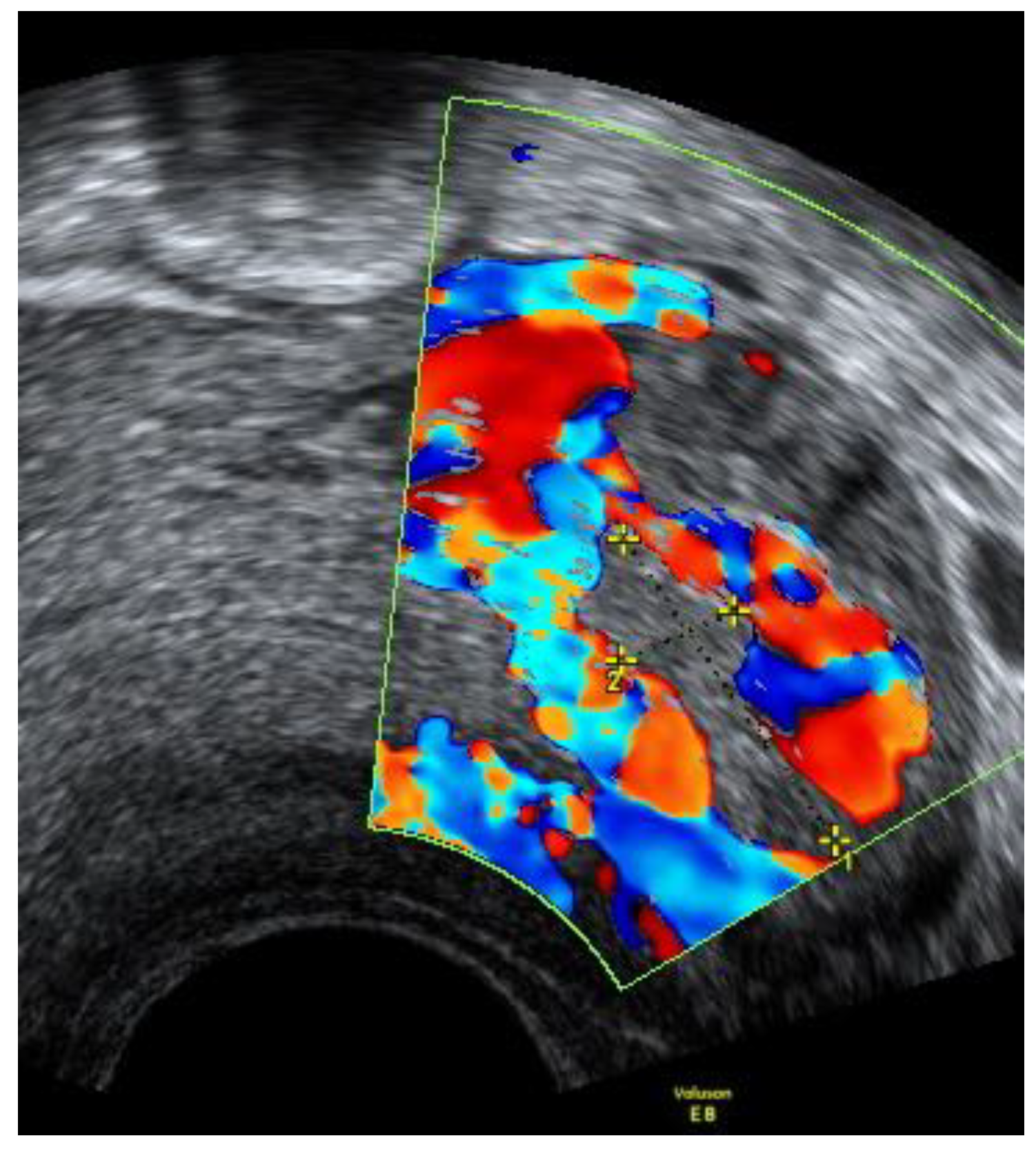 Medicina 57 01207 g008 550