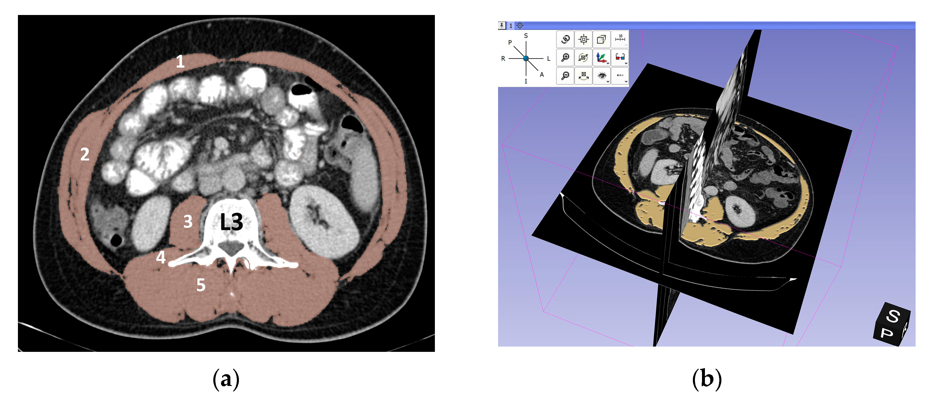 Medicina 57 01226 g001