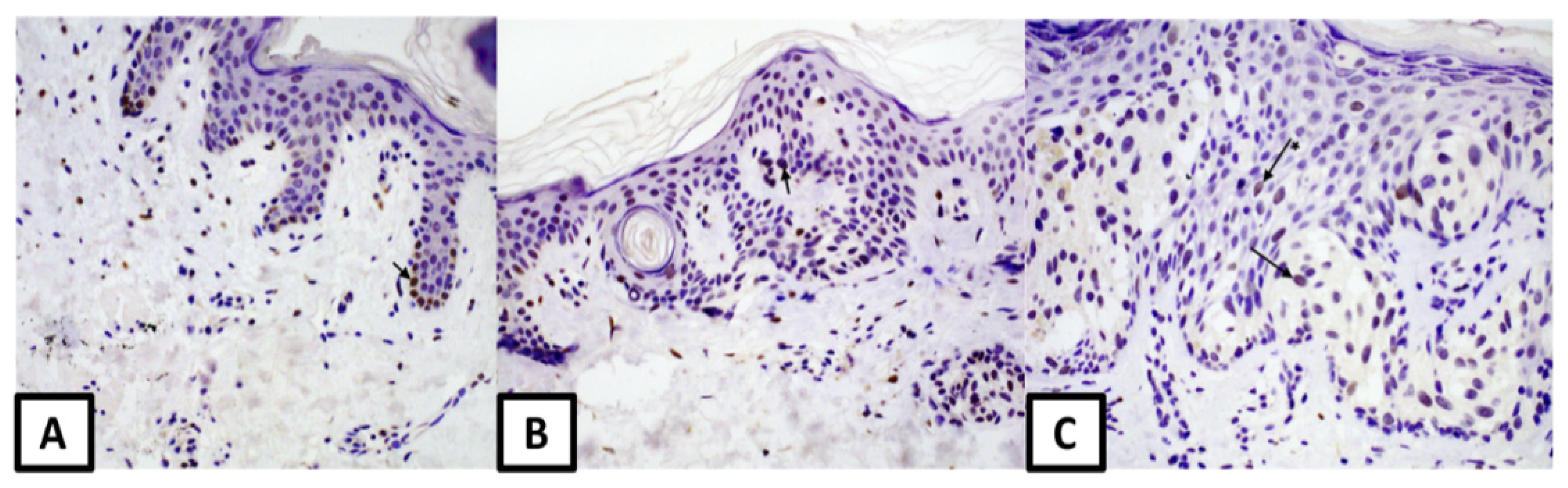 Medicina 57 01228 g001 550