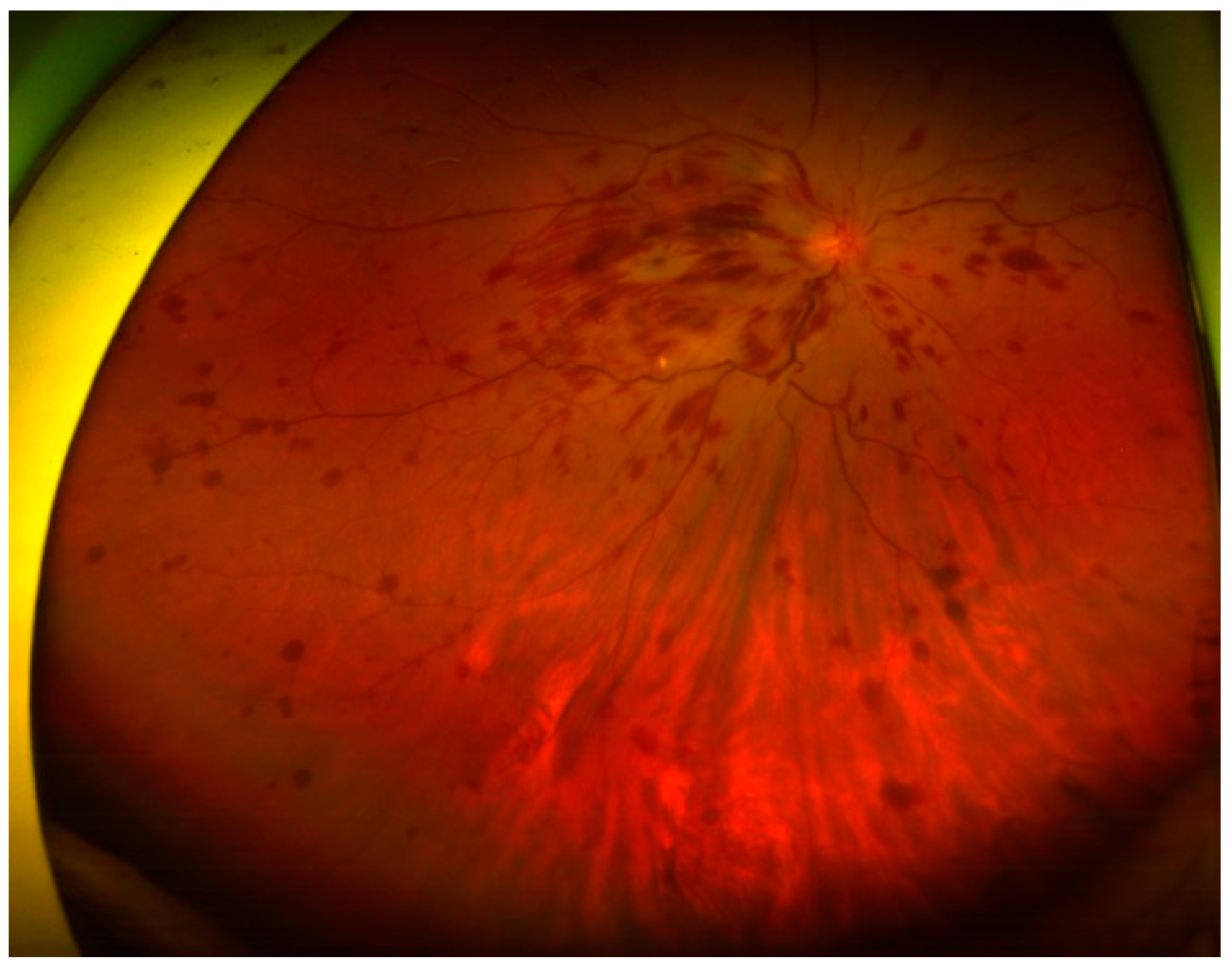 Medicina 57 01238 g001 550