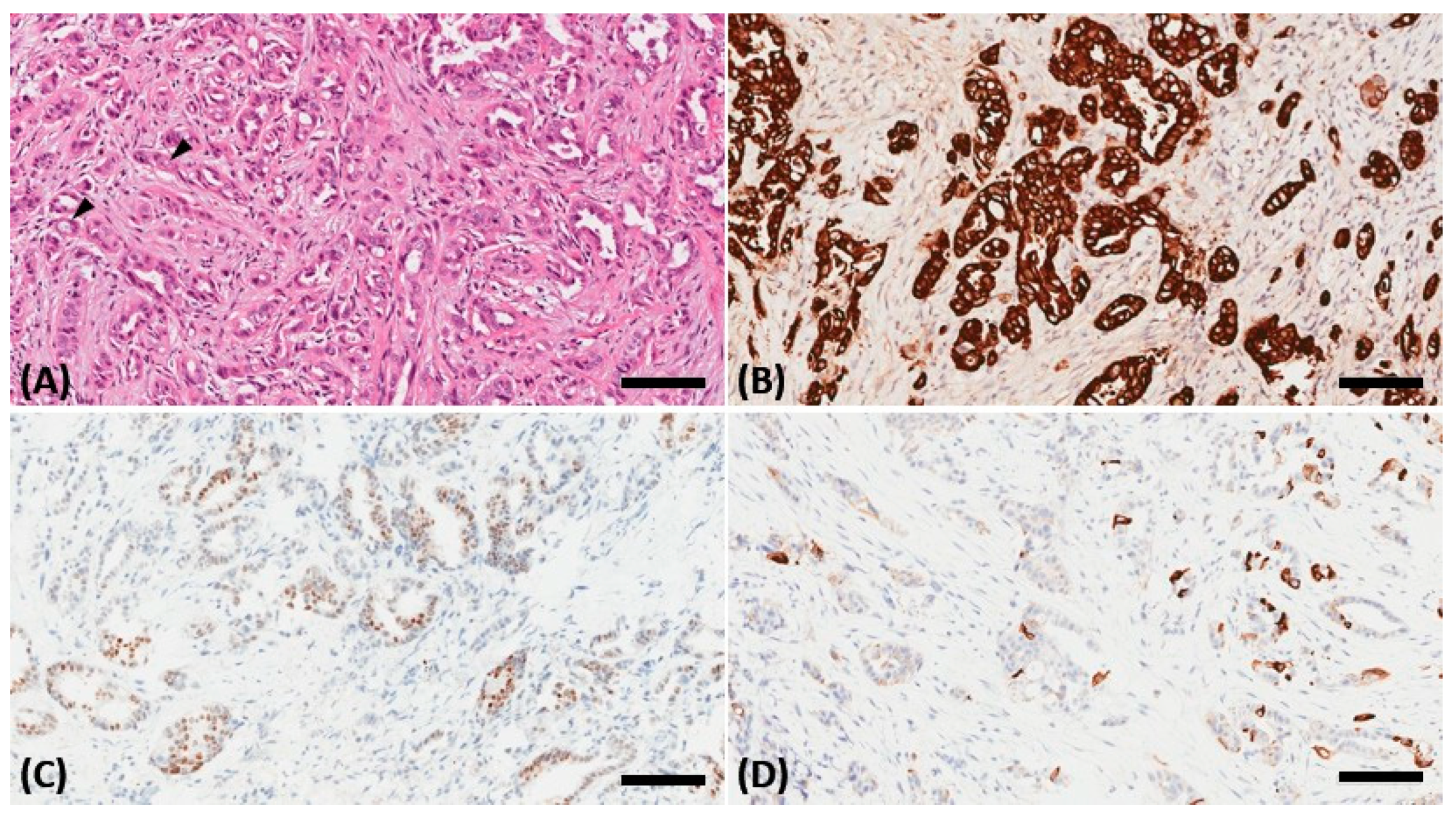 Medicina 57 01238 g003 550